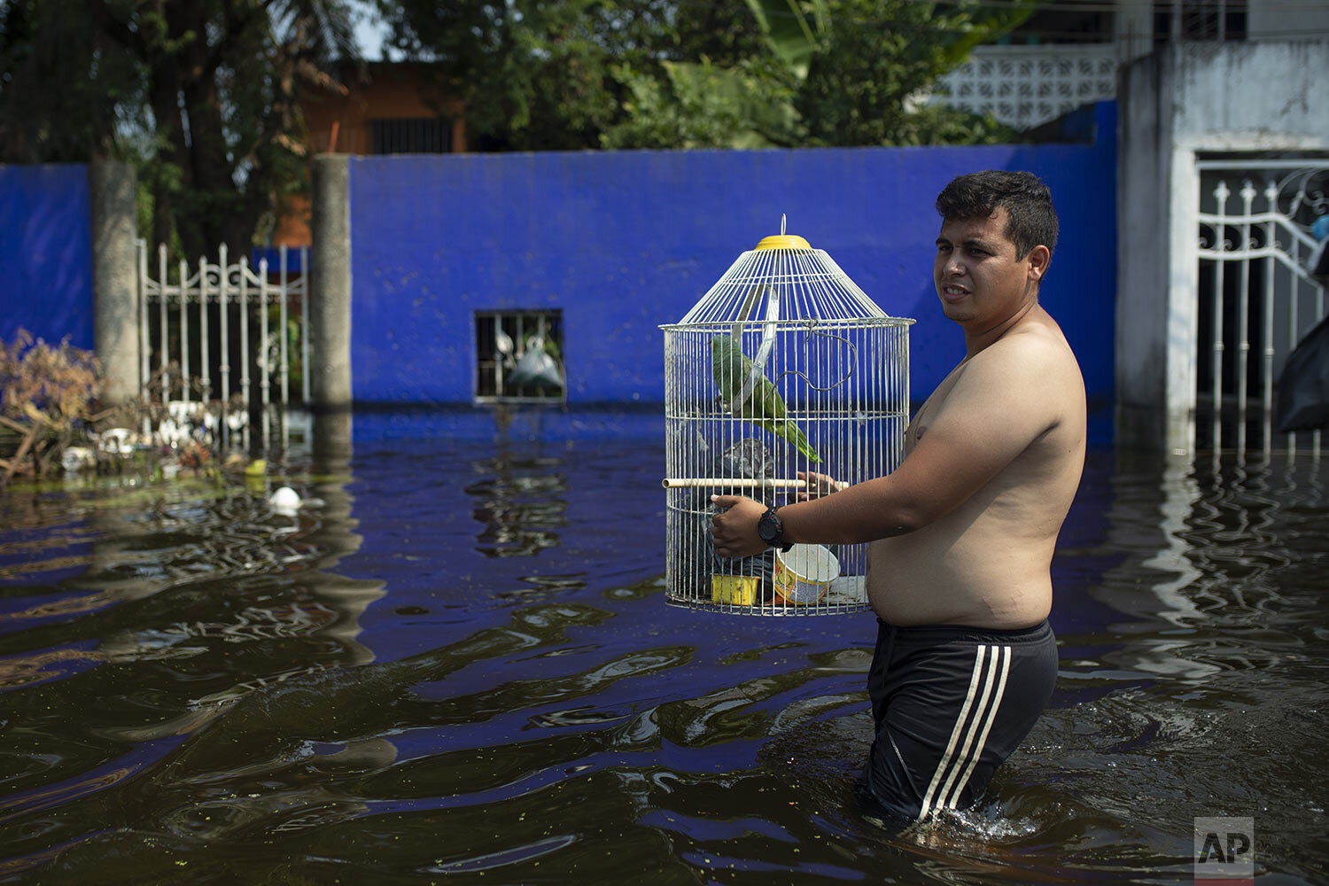 A resident wades through an inundated neighborhood carrying a bird in a cage, in Villahermosa, Mexico, Wednesday, Nov. 11, 2020, where flooding caused by cold fronts came after rains associated with Tropical Storm Eta. (AP Photo/Felix Marquez) 
