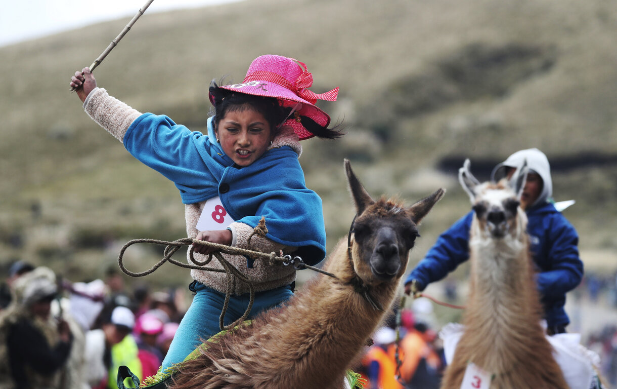  Milena Jami whips her llama to get first place in the Llama races age 7-8 years in Llanganates national park, Ecuador, Saturday, Feb. 8, 2020. Wooly llamas, an animal emblematic of the Andean mountains in South America, become the star for a day eac