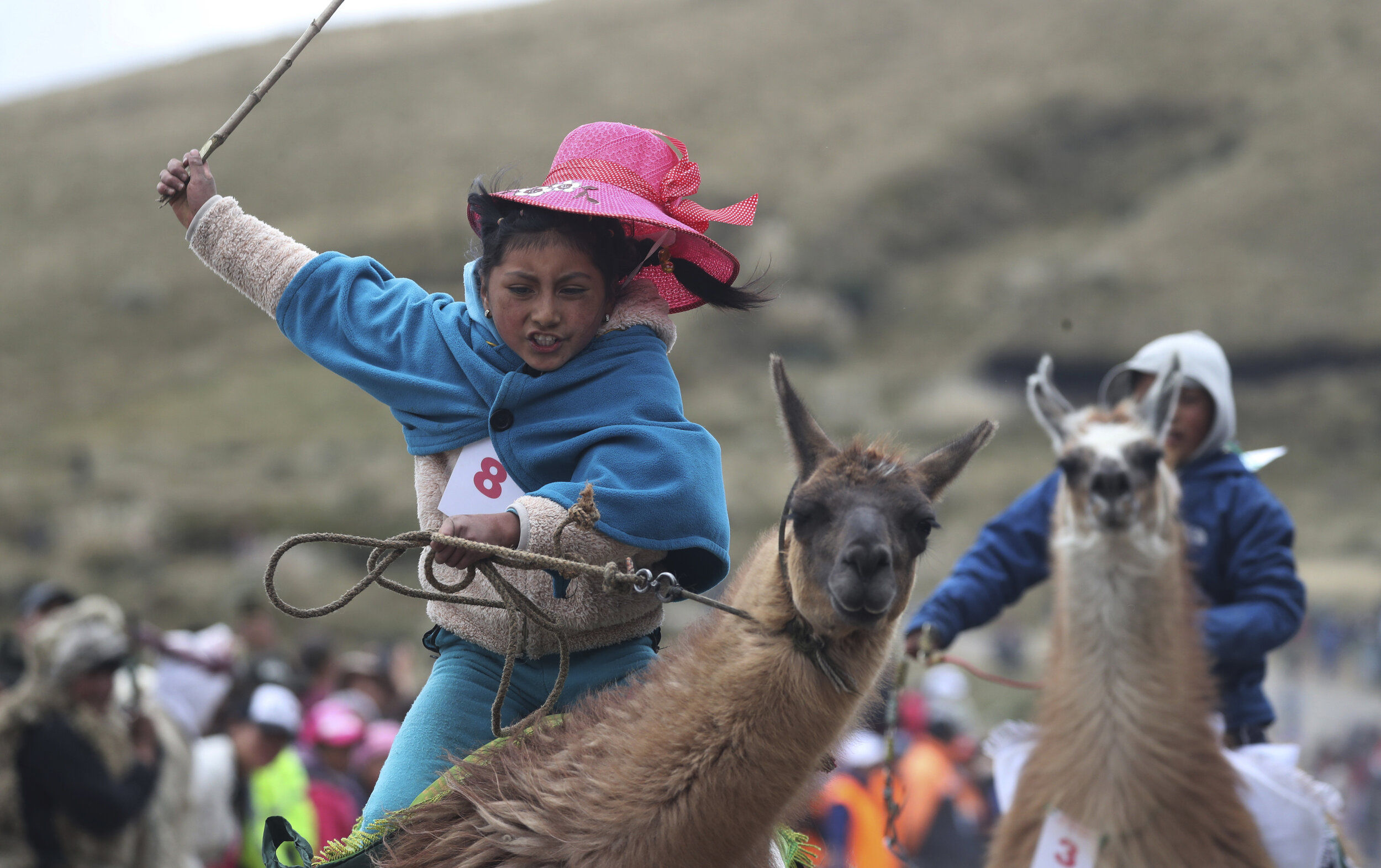  Milena Jami whips her llama to secure first place in the 500-meter llama race, age 7-8 category, at Llanganates National Park in Ecuador, Saturday, Feb. 8, 2020. (AP Photo/Dolores Ochoa) 