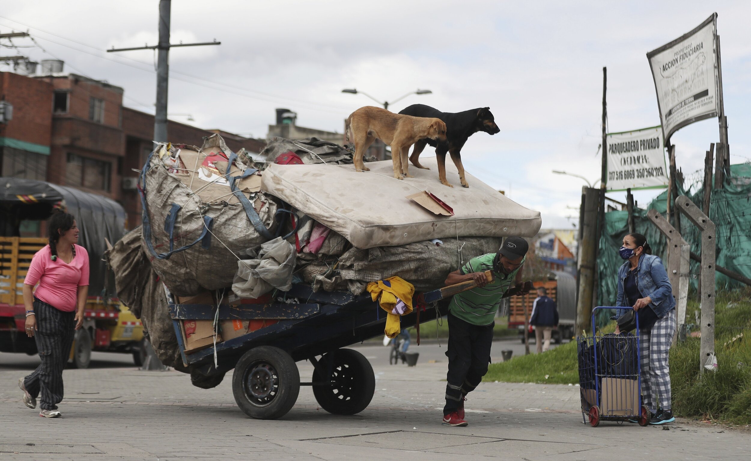  Dogs stand on a mattress hauled by a recycler in Bogota, Colombia, Thursday, July 23, 2020, amid the new coronavirus pandemic. (AP Photo/Fernando Vergara) 