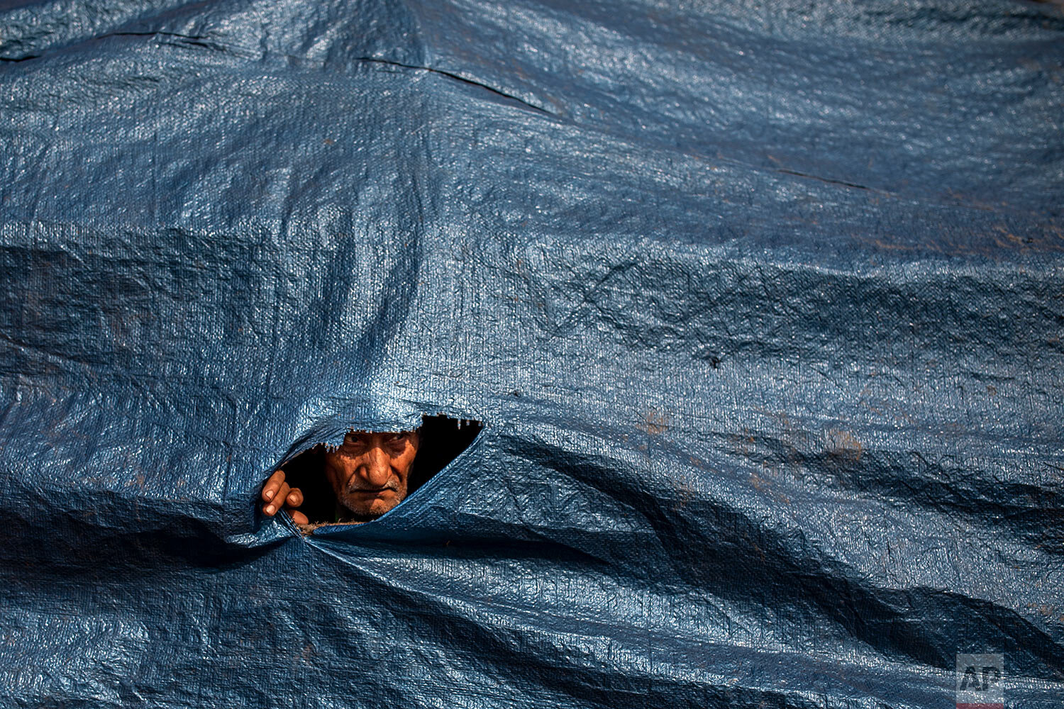  An elderly protesting farmer looks through a hole in a tarpaulin covering the tractor trolley as they march to the capital during India's Republic Day celebrations in New Delhi, India, Tuesday, Jan. 26, 2021.  (AP Photo/Altaf Qadri) 