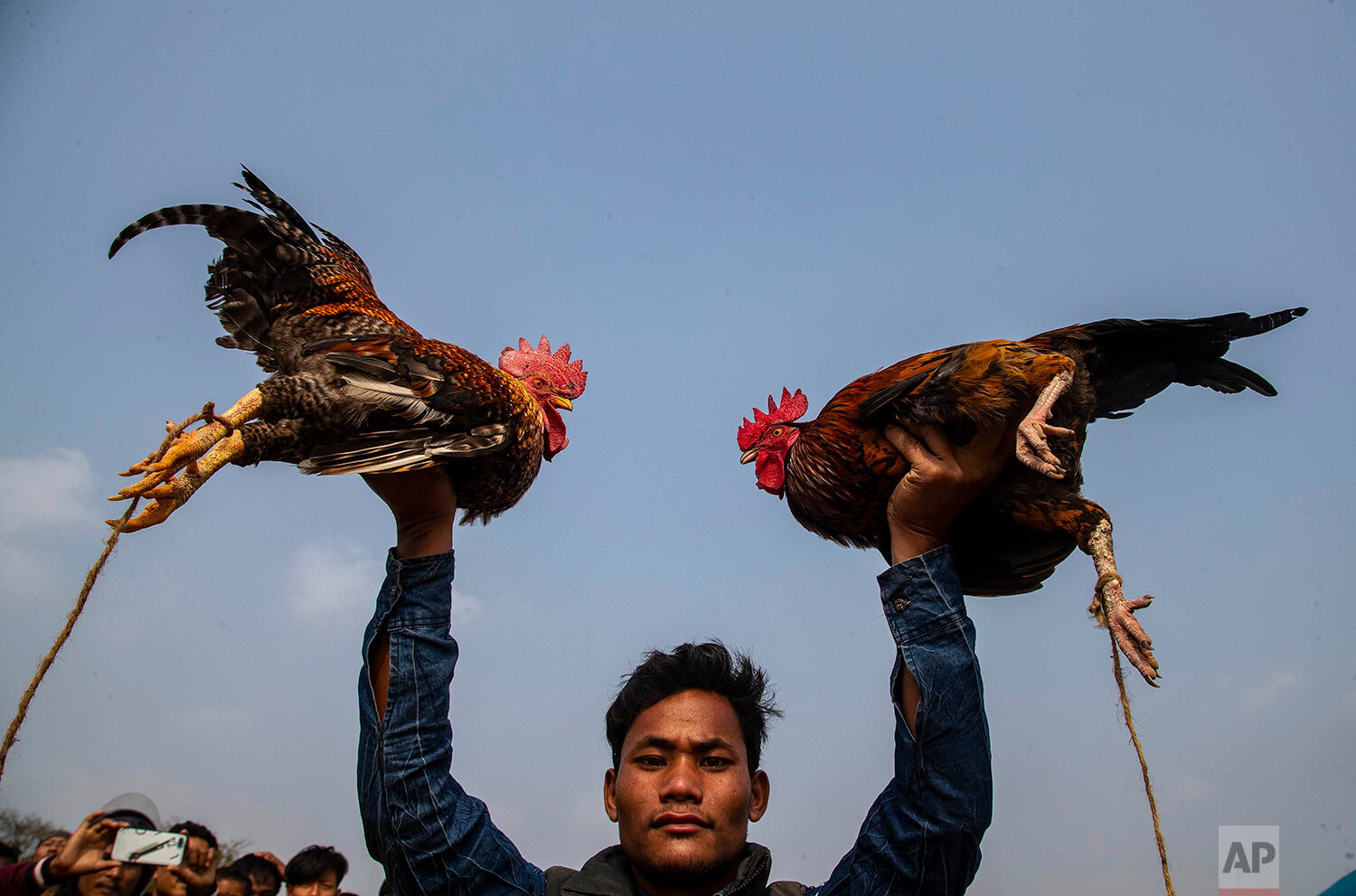  A boy holds up roosters before releasing them to fight during Jonbeel festival near Jagiroad, about 75 kilometers (47 miles) east of Gauhati, India, Friday, Jan. 22, 2021.  (AP Photo/Anupam Nath) 
