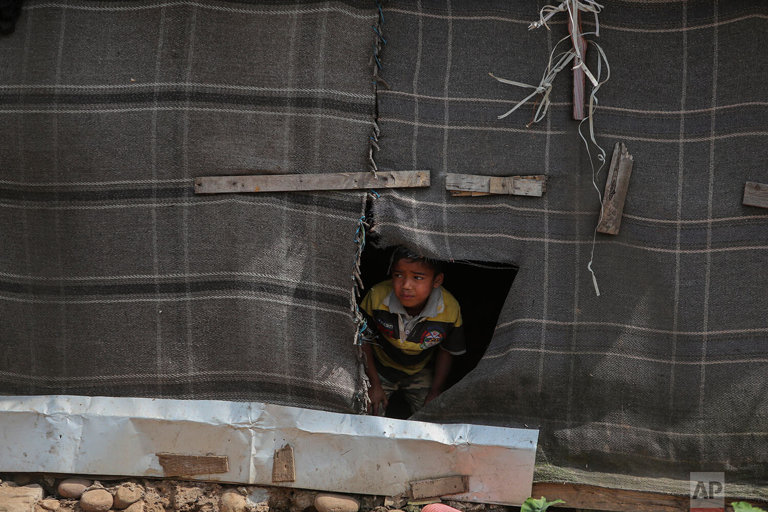  A Rohingya refugee boy looks through a torn blanket used as a partition at a makeshift camp on the outskirts of Jammu, India, Sunday, March 7, 2021. (AP Photo/Channi Anand) 