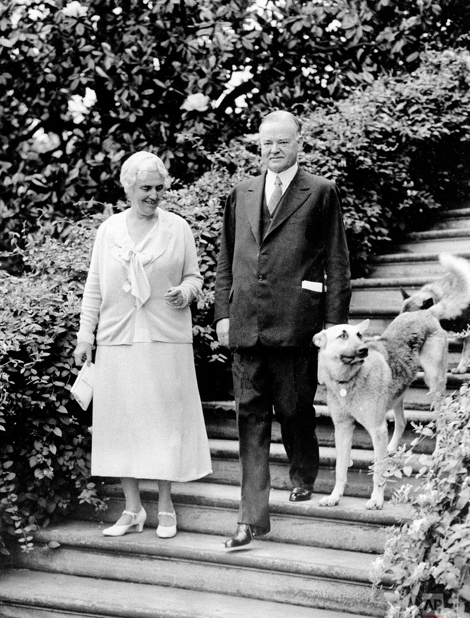  U.S. President Herbert Hoover, right, is shown with first lady Lou Henry Hoover and their dogs in Washington, D.C., on June 15, 1932.  (AP Photo) 