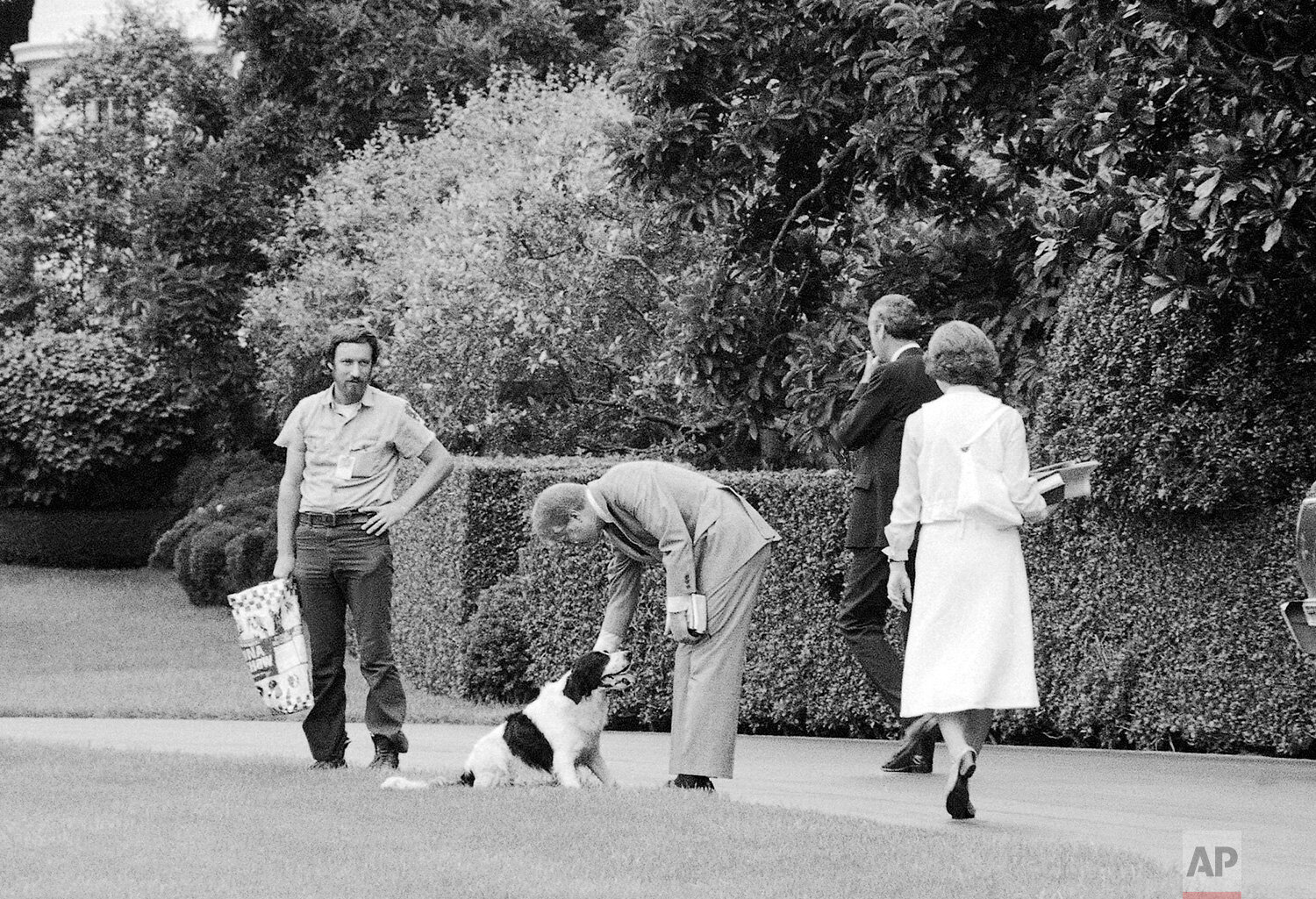  President Jimmy Carter and Rosalynn Carter play with their dog Grits on the south lawn of the White House in Washington D.C. after returning from church on Sunday, Aug. 6, 1978. (AP Photo) 