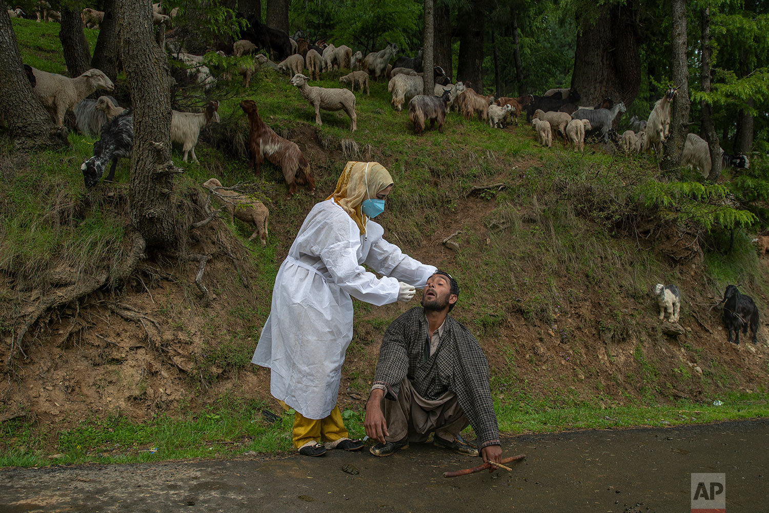  A Kashmiri doctor in protective suit takes a nasal swab sample of a nomad to test for COVID-19 in Budgam  southwest of Srinagar, Indian controlled Kashmir, Tuesday, May 18, 2021. (AP Photo/ Dar Yasin) 