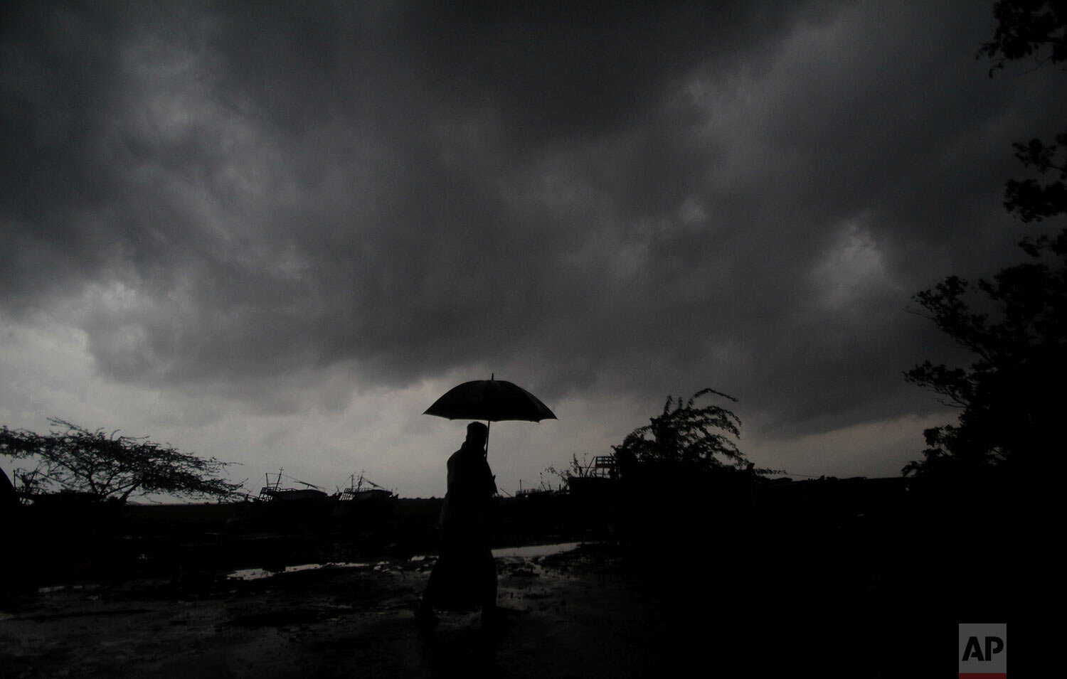  A villager walks holding an umbrella as dark clouds loom over during a drizzle in Balasore district in Odisha, India, Tuesday, May 25, 2021.  (AP Photo) 