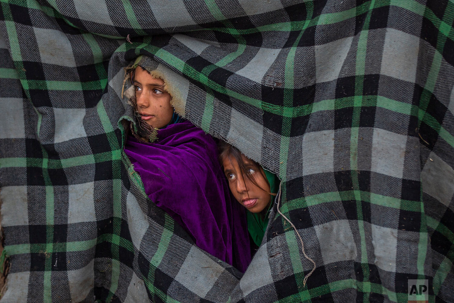  Kashmiri Bakarwal nomad girls peep through an opening in a blanket that covers their tent as they watch other children play at a temporary camp on the outskirts of Srinagar, Indian controlled Kashmir, Tuesday, June 1, 2021. (AP Photo/Dar Yasin) 