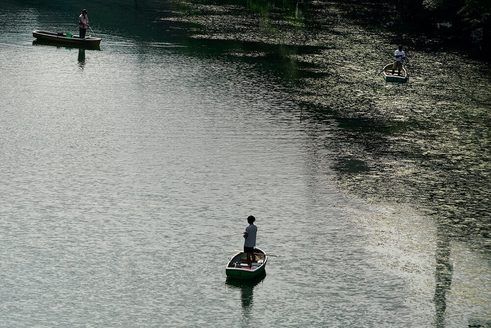  People fish in a moat ahead of the 2020 Summer Olympics on Thursday, July 15, 2021, in Tokyo. (AP Photo/Jae C. Hong) 