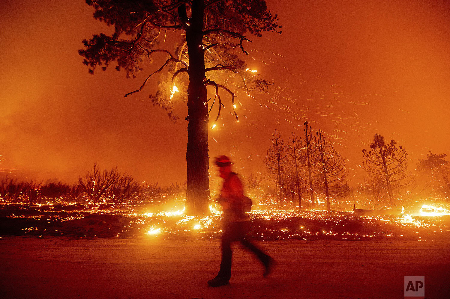  A firefighter battles the Dixie Fire shortly after it jumped Highway 395 south of Janesville in Lassen County, Calif., on Monday, Aug. 16, 2021. Critical fire weather throughout the region threatens to spread multiple wildfires burning in Northern C