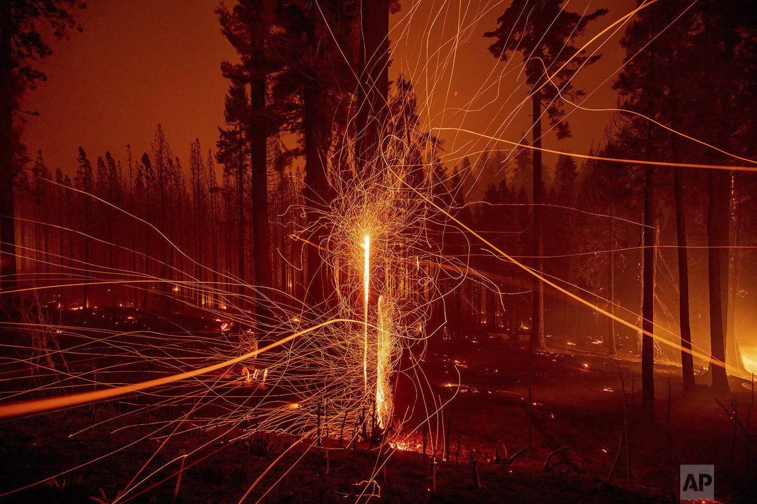  In this long exposure photo, embers fly from burning trees as the Caldor Fire grows on Mormom Emigrant Trail east of Sly Park, Calif., on Tuesday, Aug. 17, 2021. (AP Photo/Ethan Swope) 