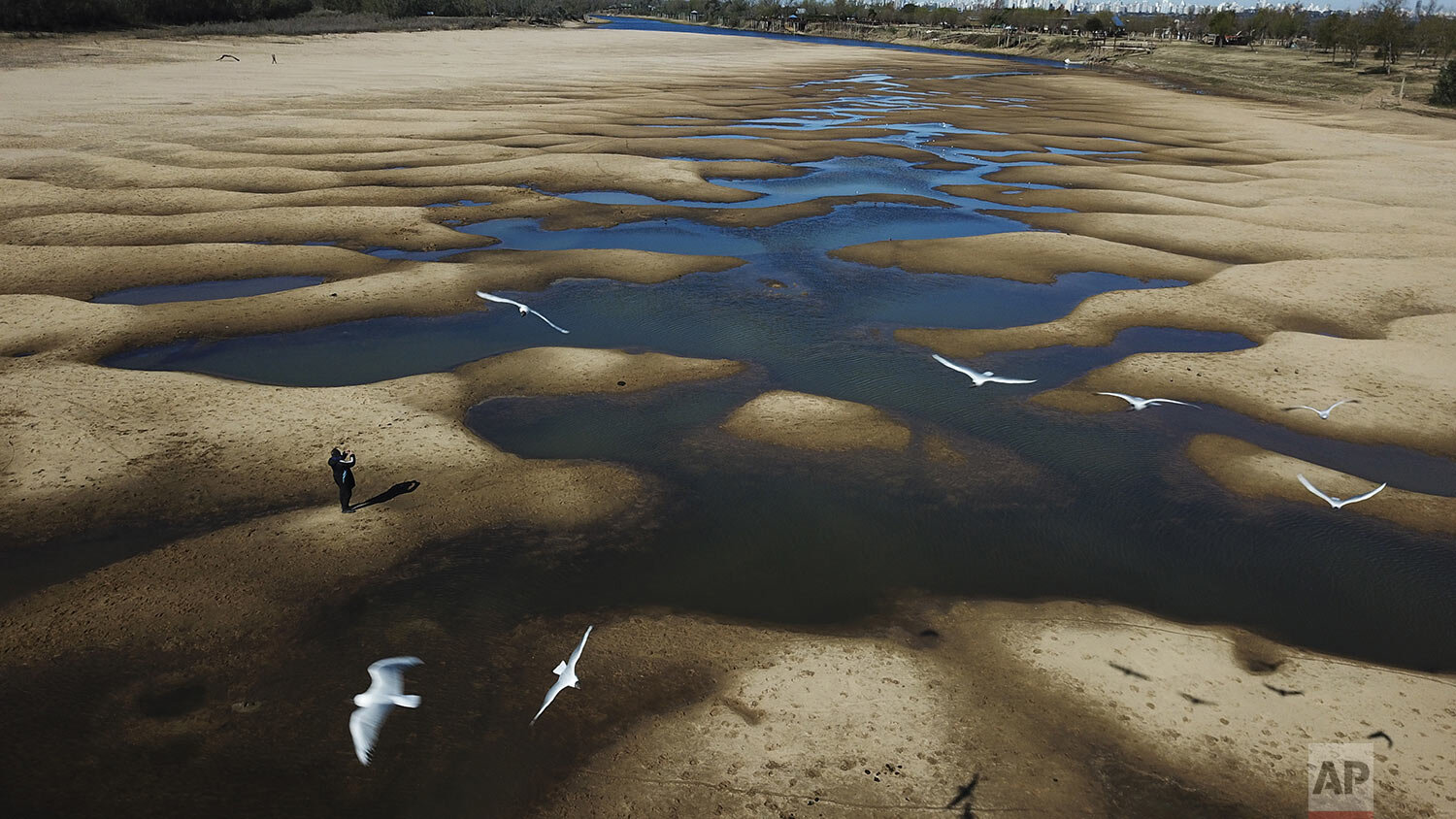  Birds fly over a man photographing the exposed riverbed of the Old Parana River, a tributary of the Parana River during a drought in Rosario, Argentina, July 29, 2021. (AP Photo/Victor Caivano) 