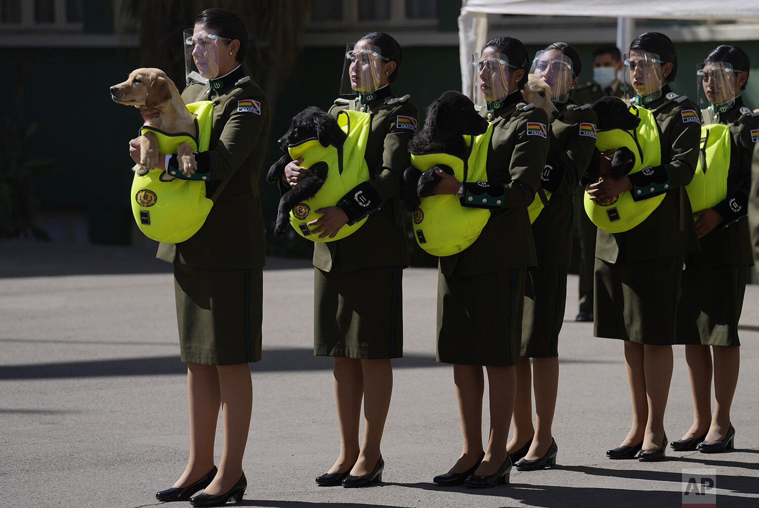  Police introduce a litter of golden retriever puppies, some of which are black golden retrievers, to be trained as police dogs during a ceremony at the National Police Academy in La Paz, Bolivia, Aug. 16, 2021, the date of the feast day for Saint Ro