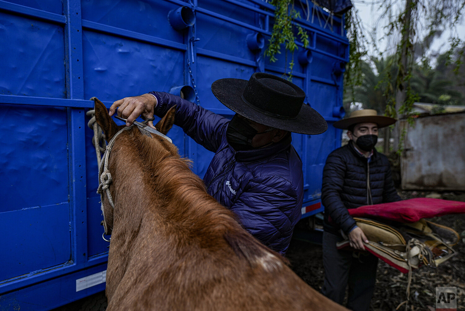 A Rodeo During a Pandemic