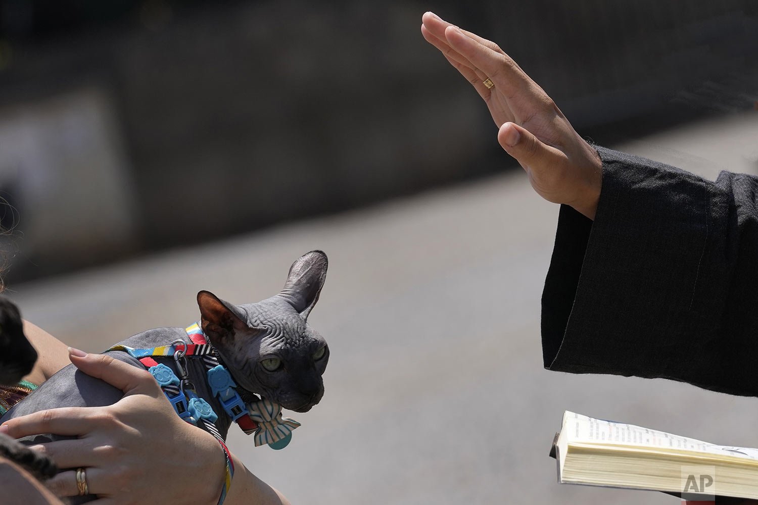  A Franciscan monk blesses a pet cat during a Mass in honor of Saint Francis of Assisi, considered the protector of animals, on the saint’s feast day in Brasilia, Brazil, Oct. 4, 2021. (AP Photo/Eraldo Peres) 