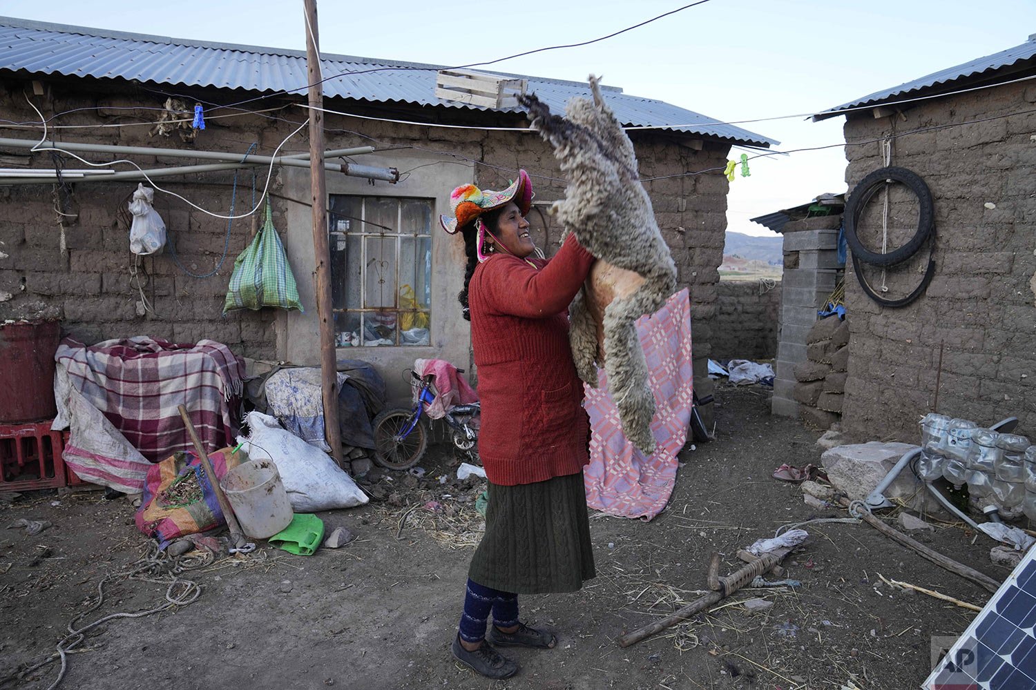  Maribel Vilca slips a dried sheepskin into a bag at her home in Jochi San Francisco, Peru, Oct. 29, 2021. Vilca said she will not be vaccinated for COVID-19 because she does not trust doctors. (AP Photo/Martin Mejia) 