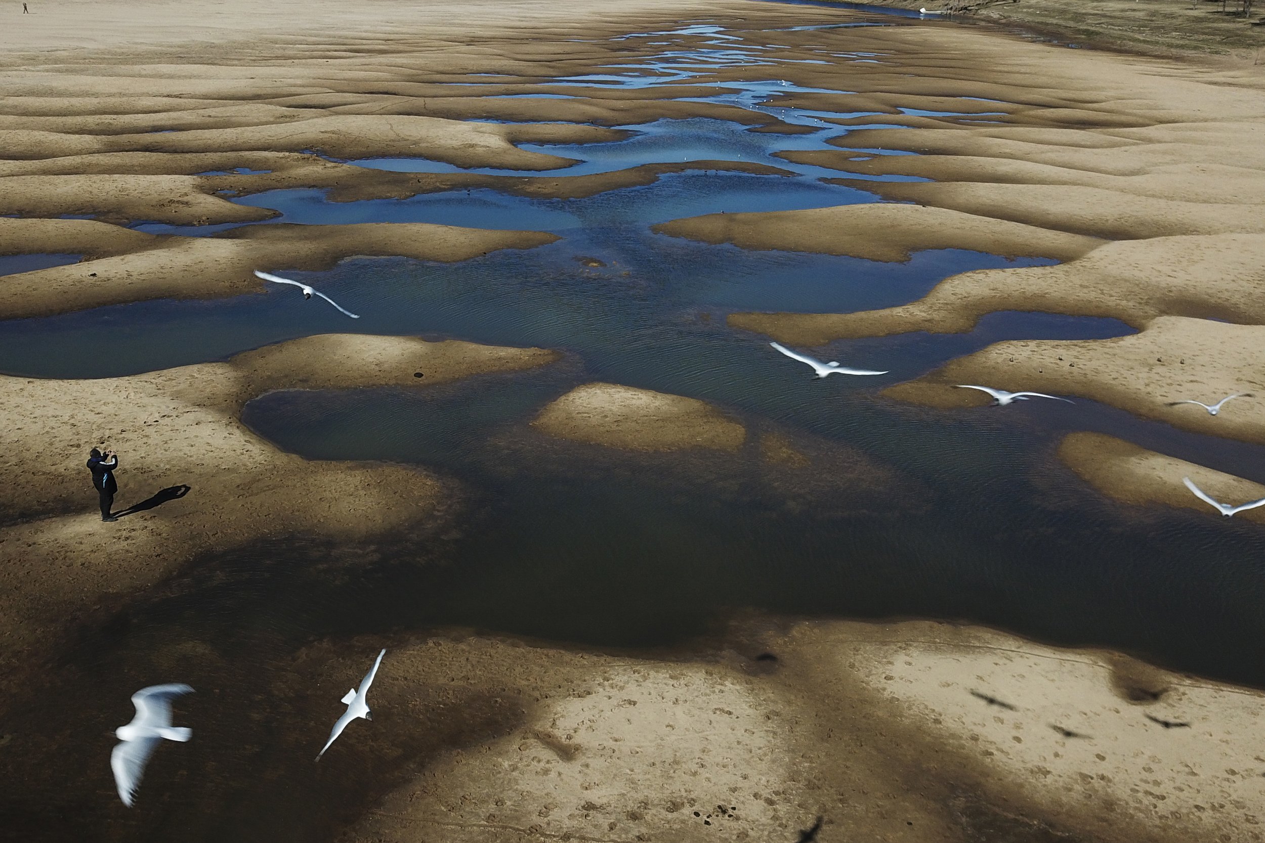  Birds fly over a man taking photos of the exposed riverbed of the Old Parana River, a tributary of the Parana River, during a drought in Rosario, Argentina, on July 29, 2021. (AP Photo/Victor Caivano) 