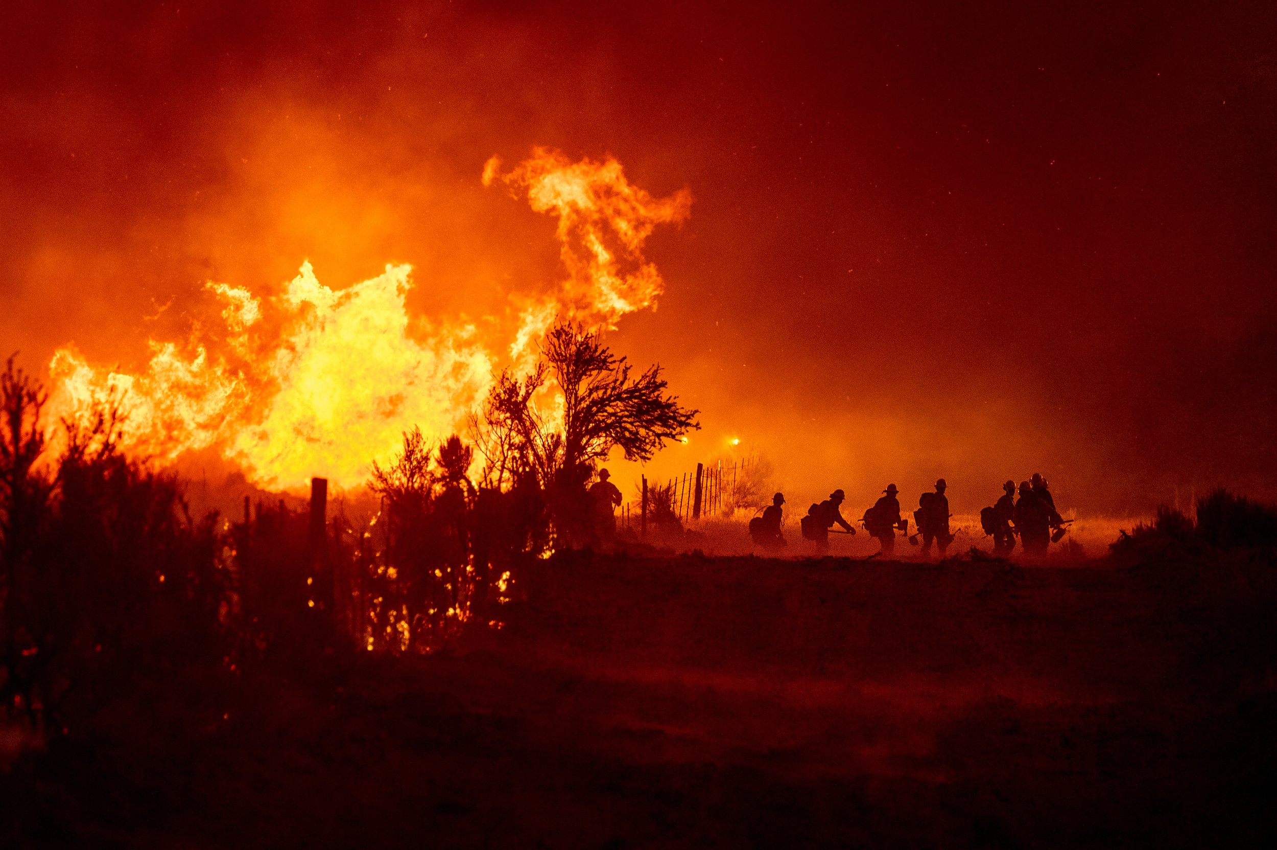  Firefighters battle the Sugar Fire, part of the Beckwourth Complex Fire, in Doyle, Calif., on July 9, 2021. (AP Photo/Noah Berger) 