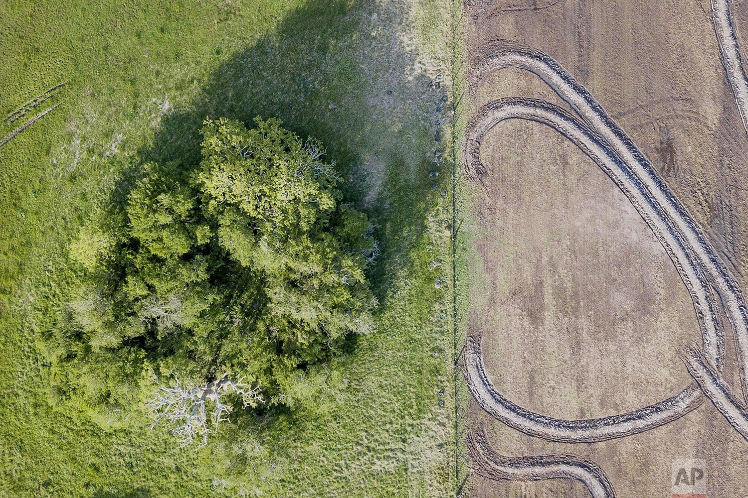  Aerial view of an Indigenous earthen mound, left, known in Spanish as “cerritos de indios”, in Rocha, Uruguay, Nov. 2, 2021. There are more than 3,500 registered cerritos that were a part of the past Indigenous life of what is now Uruguay. (AP Photo