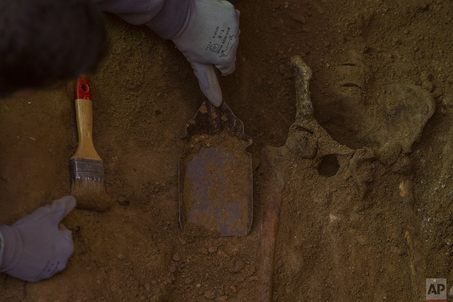 Spain Mass Grave