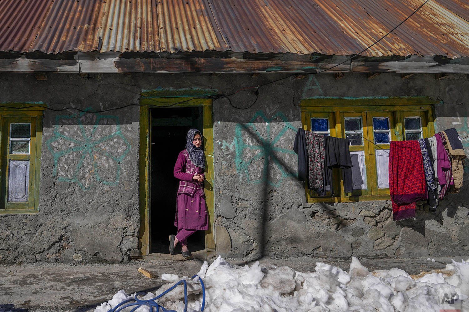 Kashmir Vaccines