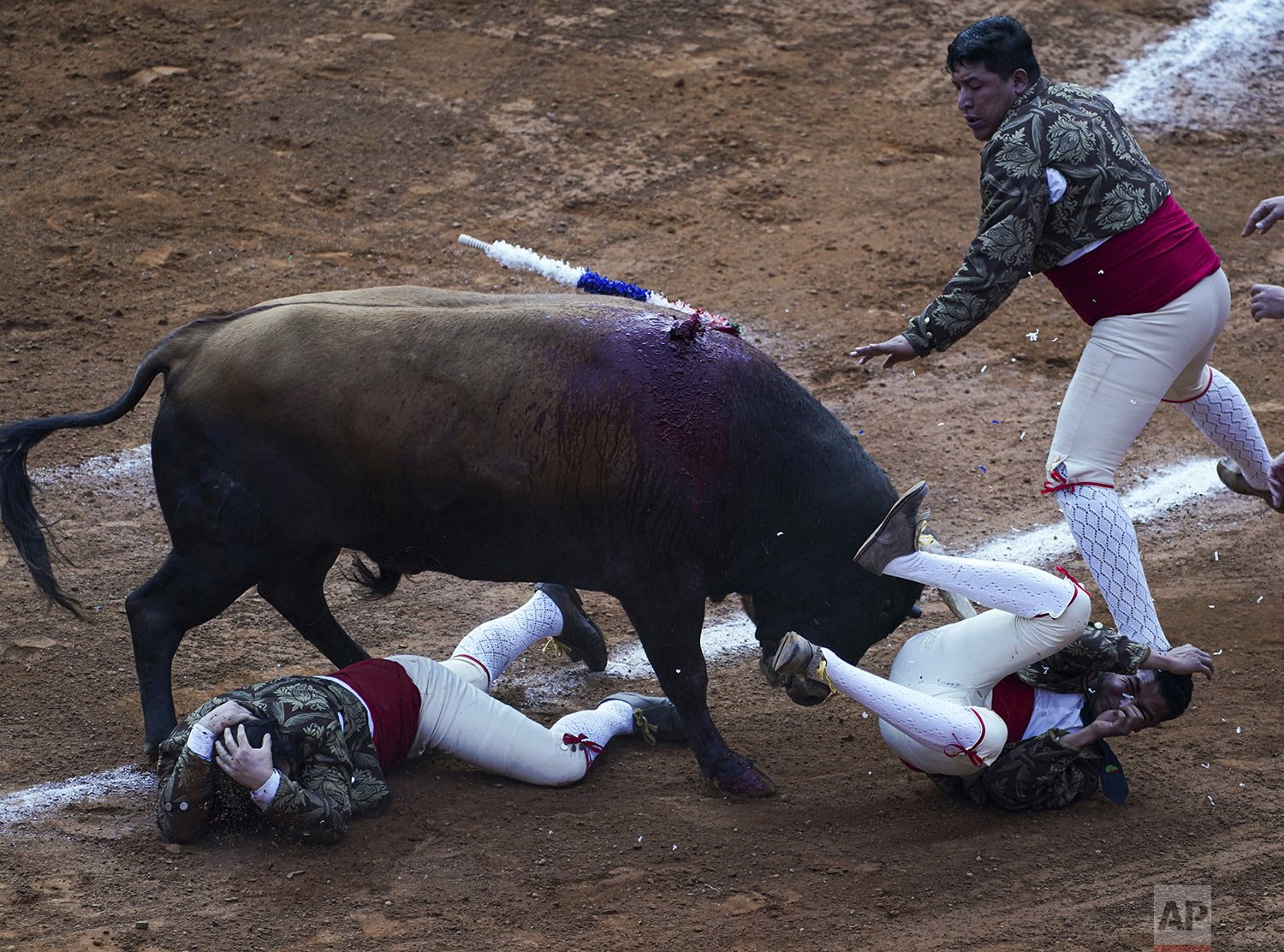  Members of the “Forcados Amadores de Mexico" are toppled by a bull during a bullfight at La Plaza de Toros Mexico in Mexico City, Feb. 20, 2022. This season's bullfights may be the last, as legislators in the capital seek to revive a bill banning it
