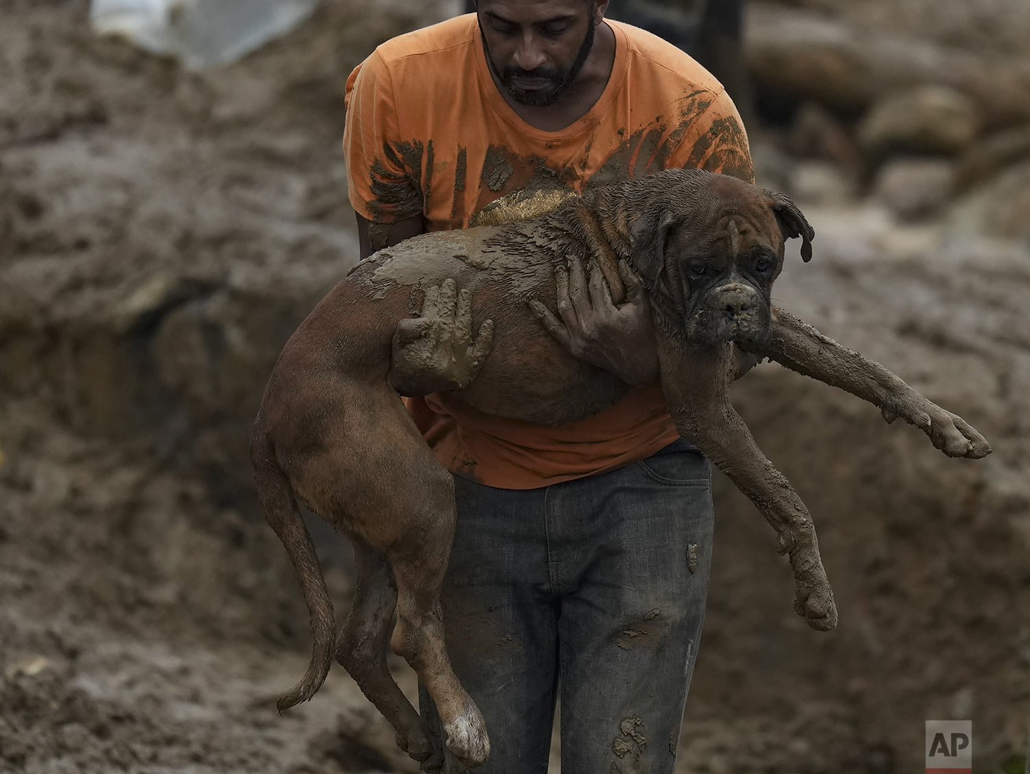  A man carries a dog away from a residential area destroyed by mudslides in Petropolis, Brazil, Feb. 16, 2022. Extremely heavy rains set off mudslides and floods in the mountainous area of Petropolis, killing over 200 people. (AP Photo/Silvia Izquier