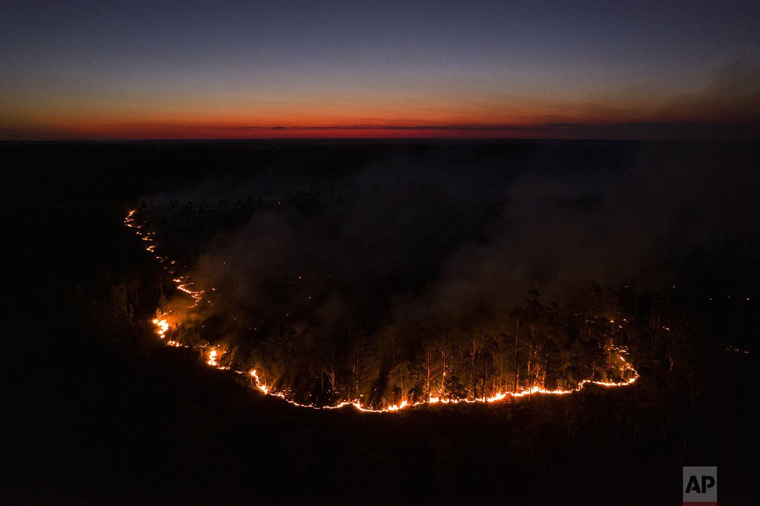  A fire consumes a forest near La Cruz, Argentina, Feb. 18, 2022. Fires ravaged over half-a-million hectares. (AP Photo/Rodrigo Abd) 