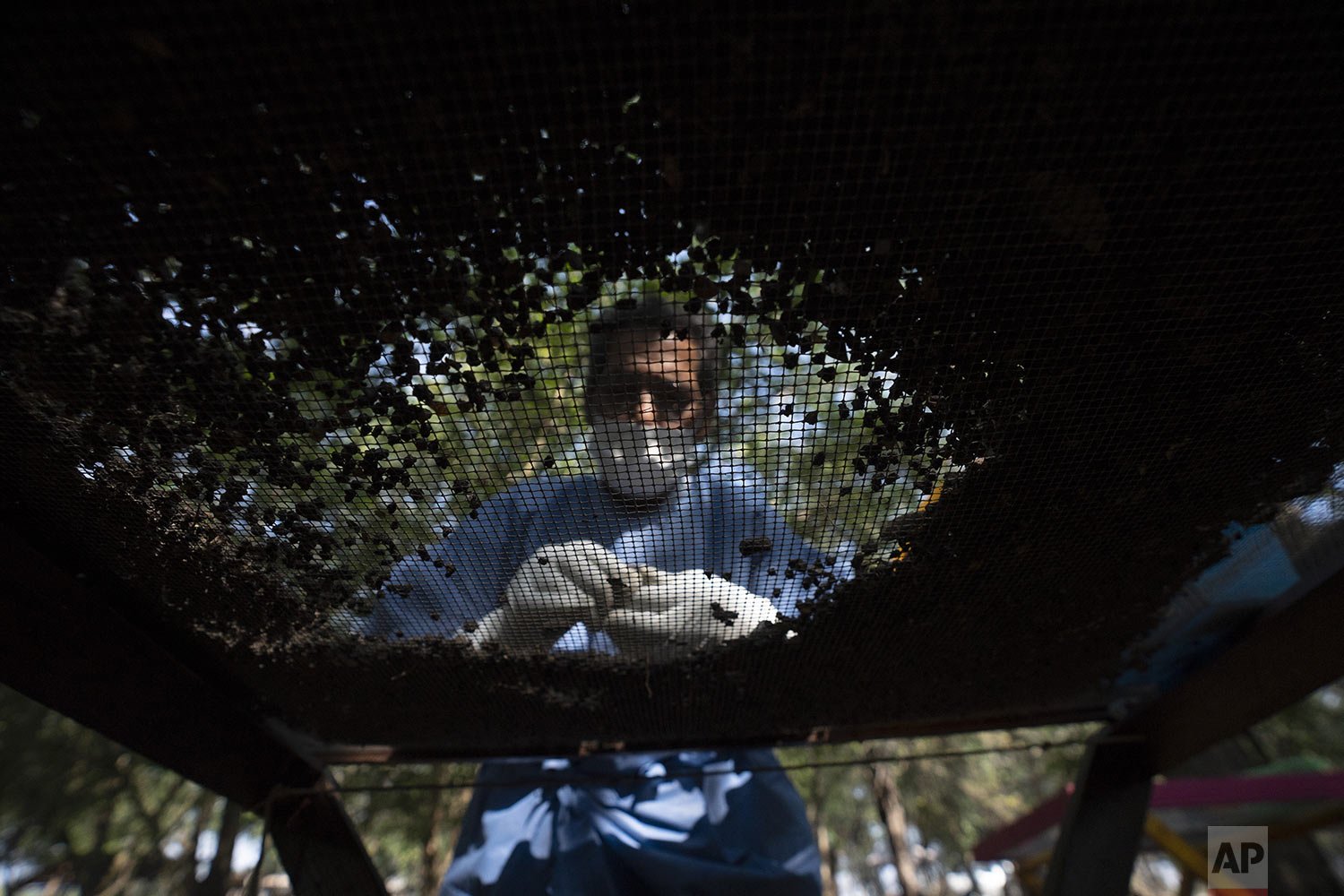  Alejandro Lopez, part of a collective of relatives who search for disappeared people, sifts through dirt taken from a clandestine grave in a field on the outskirts of Ciudad Mante, Mexico, Feb. 1, 2022. Most extermination sites in Mexico have been f