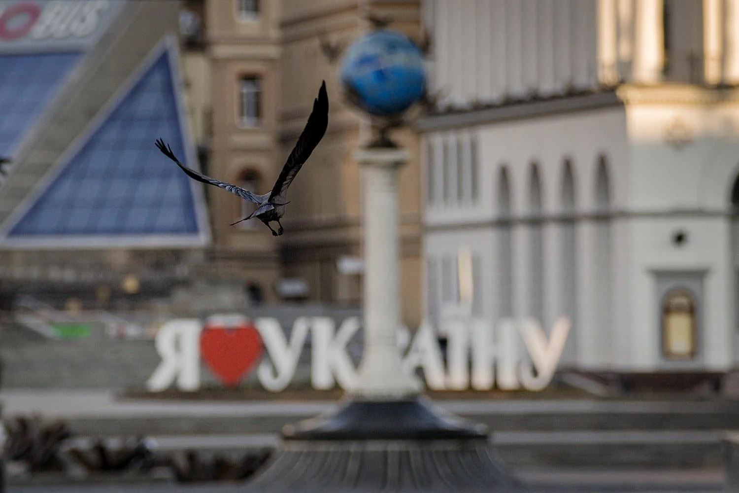  A crow flies backdropped by an "I love Ukraine" sign downtown Kyiv, Ukraine, Wednesday, March 16, 2022, as authorities declared a 35 hour curfew in the Ukrainian capital. Both Russia and Ukraine projected optimism ahead of another scheduled round of