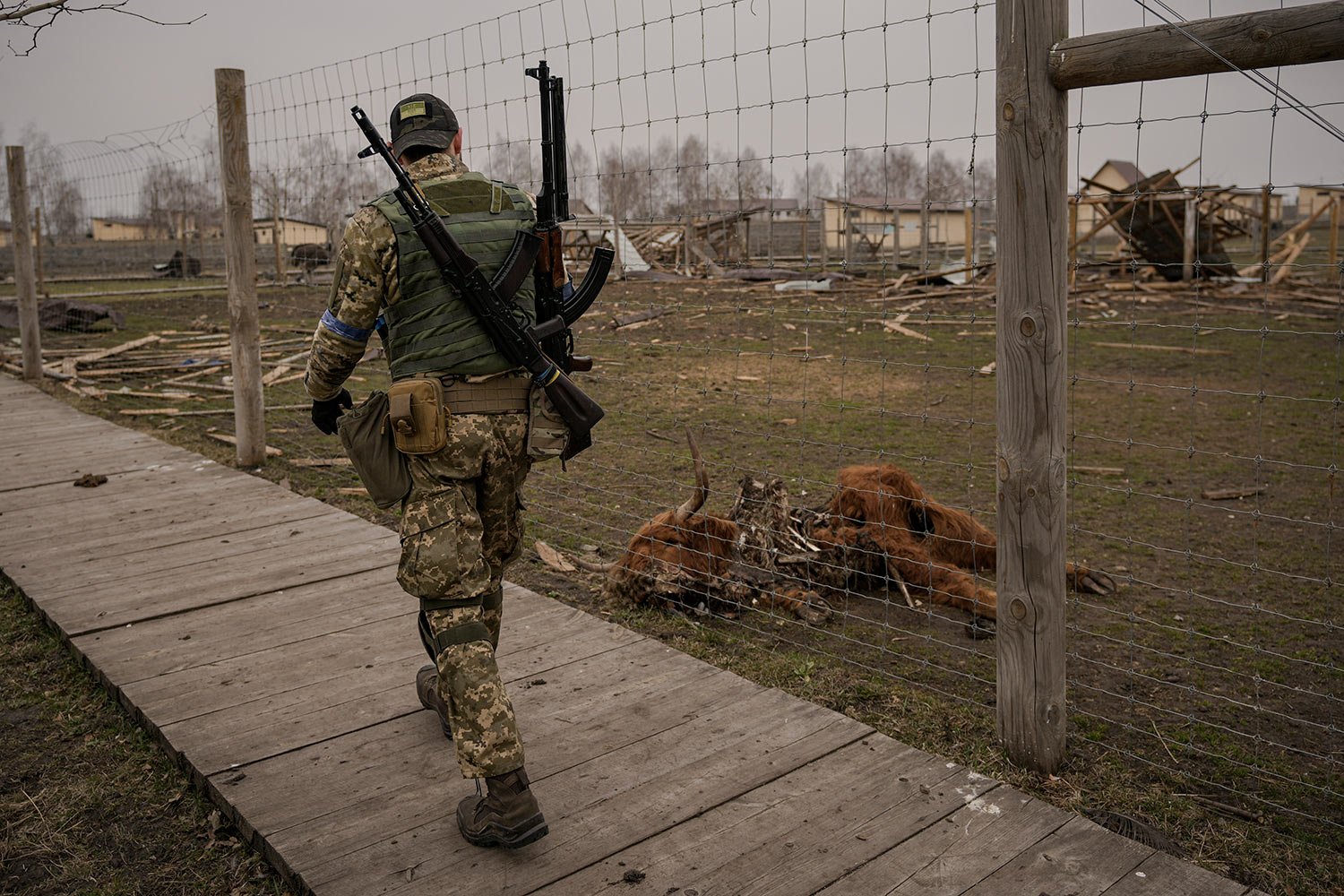  A Ukrainian serviceman walks by an animal which was killed during fighting at a heavily damaged private zoo while soldiers and volunteers attempted to evacuate the surviving animals to safety in the village of Yasnohorodka, on the outskirts of Kyiv,