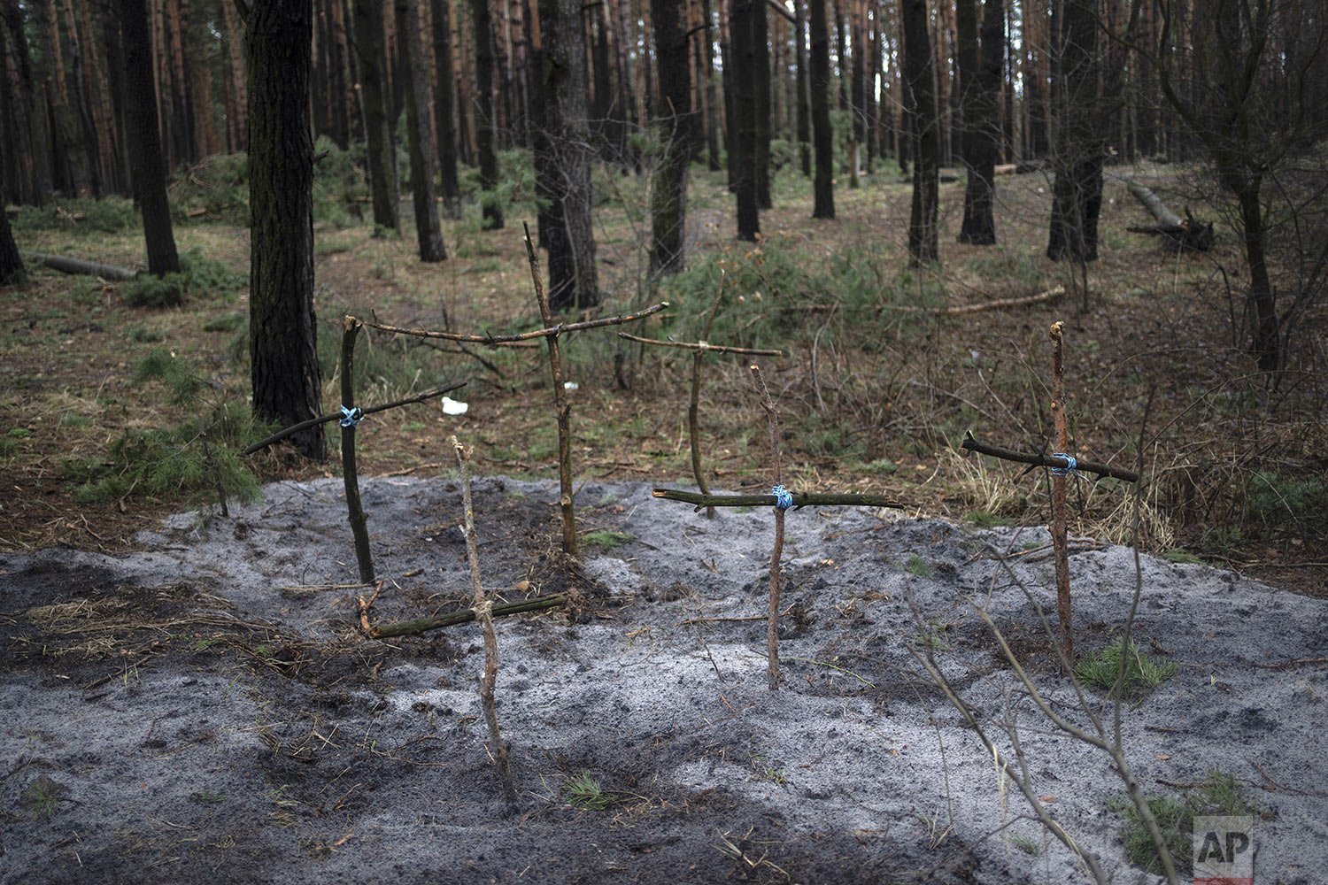  Crosses to honor civilians killed during fighting between Russian and Ukrainian forces, mark a mass grave in the forest of Irpin, on the outskirts of Kyiv, Ukraine, Saturday, April 2, 2022. (AP Photo/Rodrigo Abd) 