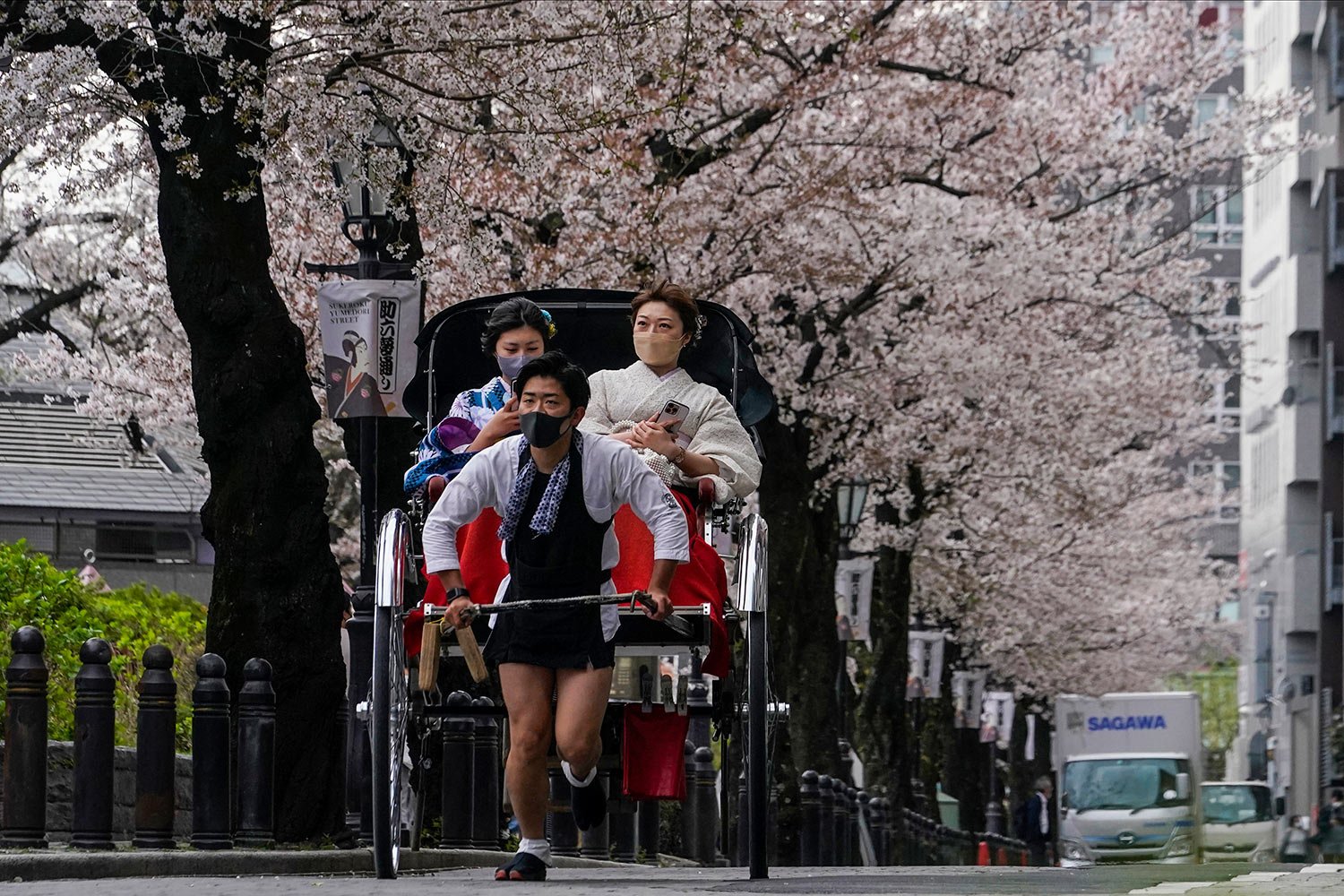  Women wearing traditional Kimono outfits take a rickshaw ride under a canopy of the cherry blossoms in full bloom Thursday, March 31, 2022, in Tokyo.  (AP Photo/Kiichiro Sato) 