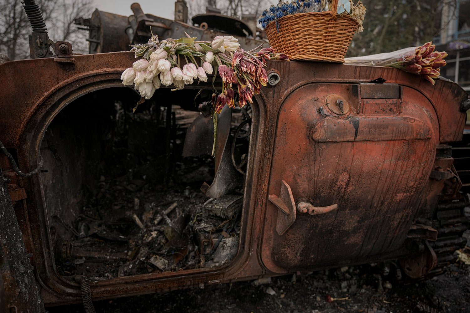  Flowers are placed on a Ukrainian military armored fighting vehicle destroyed during fighting between Russian and Ukrainian forces outside Kyiv, Ukraine, Friday, April 1, 2022. (AP Photo/Vadim Ghirda) 