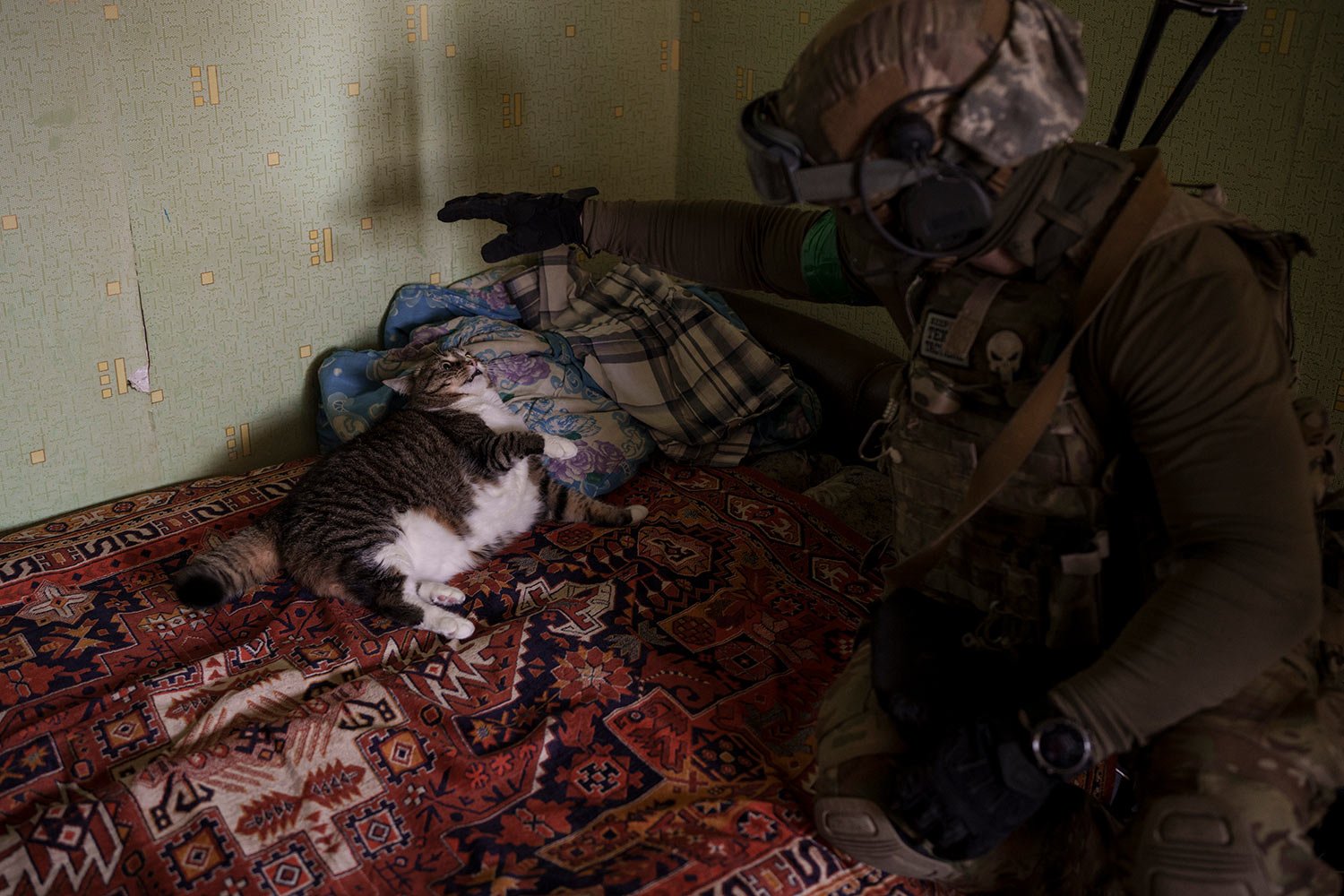  A Security Service of Ukraine (SBU) serviceman plays with a cat during an operation to arrest suspected Russian collaborators in Kharkiv, Ukraine, Thursday, April 14, 2022. (AP Photo/Felipe Dana) 