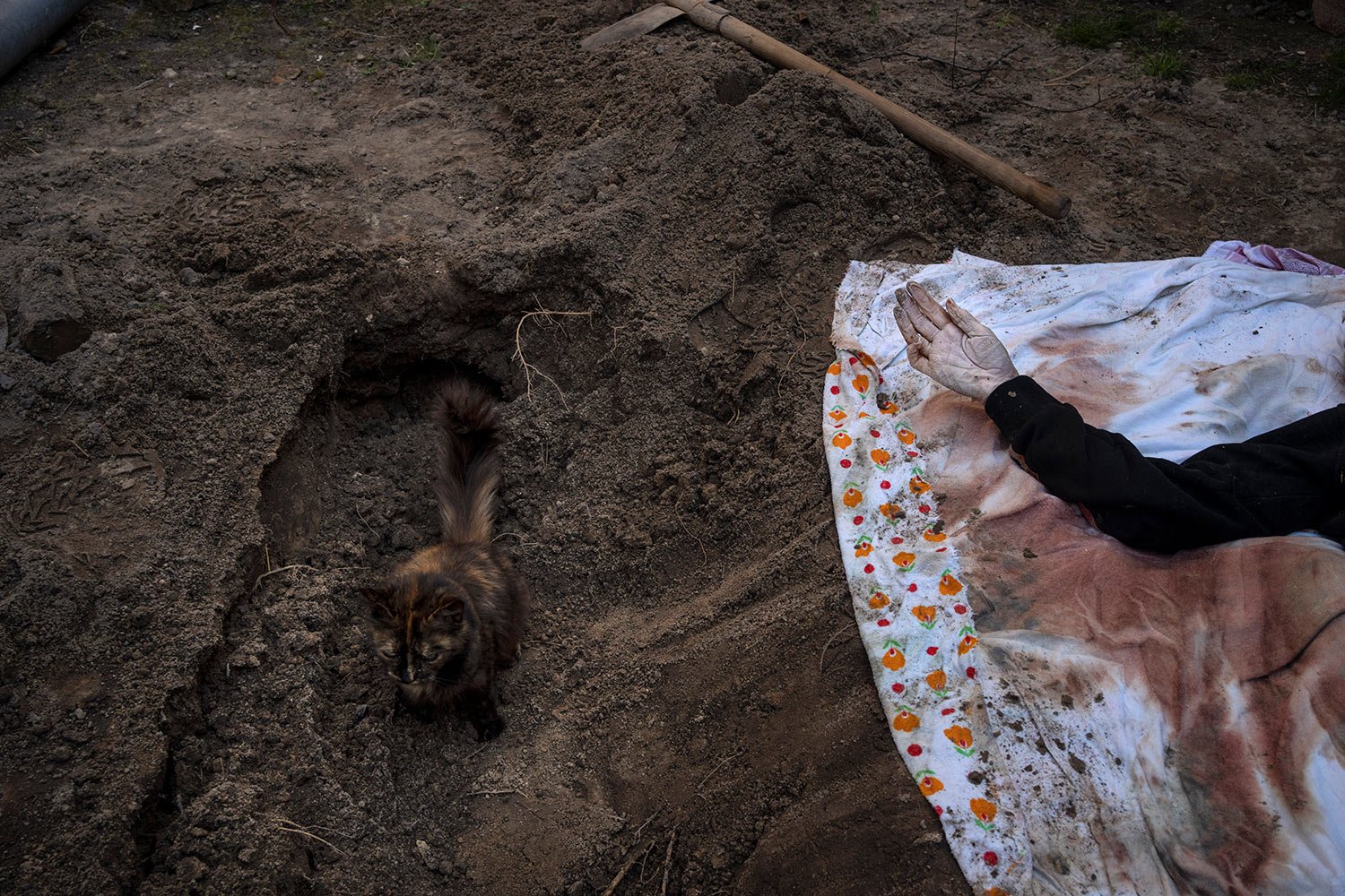  A cat rests inside the grave of Lyudmyla Kononuchenko, 51, who was buried by family and friends after being hit by a rocket on March 23 during the war with Russia, in Irpin, in the outskirts of Kyiv, Ukraine, Friday, April 15, 2022. Kononuchenko's b