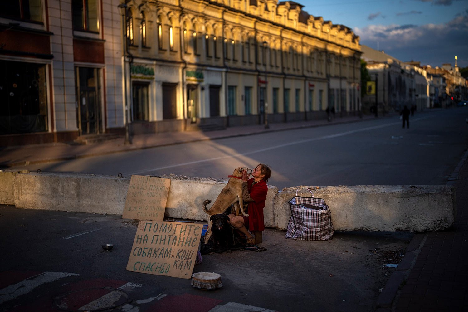  A woman begs for alms to feed her dogs in Kyiv, on Saturday, April 30, 2022. (AP Photo/Emilio Morenatti) 