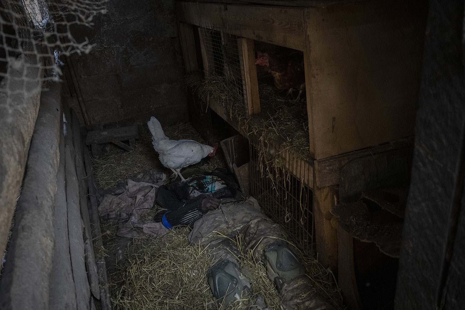  The body of a Russian soldier lies inside a henhouse in Vilkhivka on the outskirts of Kharkiv, eastern Ukraine, Friday, May 20, 2022. (AP Photo/Bernat Armangue) 