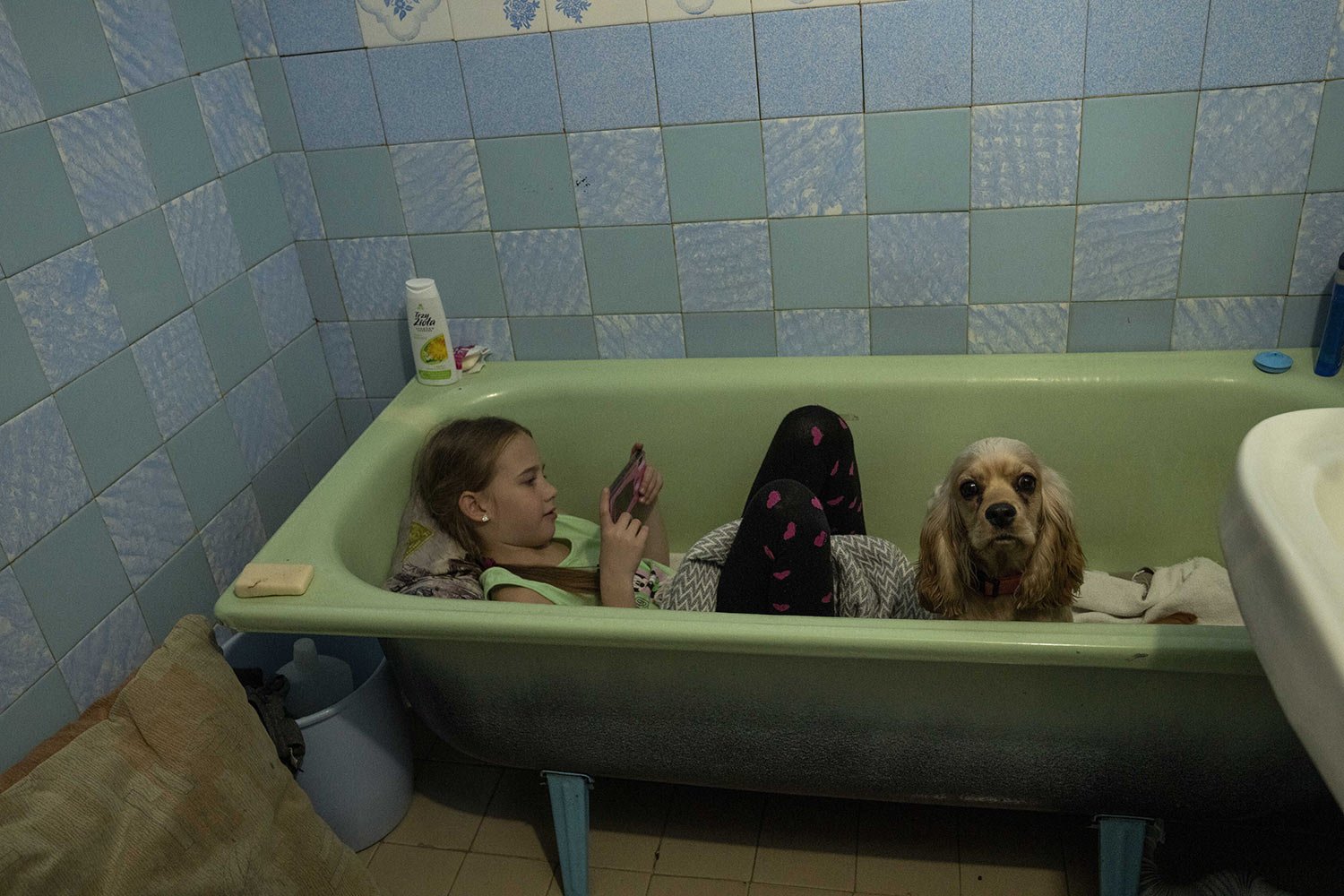  Zlata-Maria Shlapak sits with her puppy Letti in the bathtub while an air siren goes off, at the apartment her family is renting in Lviv where they took refuge in western Ukraine, Saturday, April 2, 2022. (AP Photo/Nariman El-Mofty) 