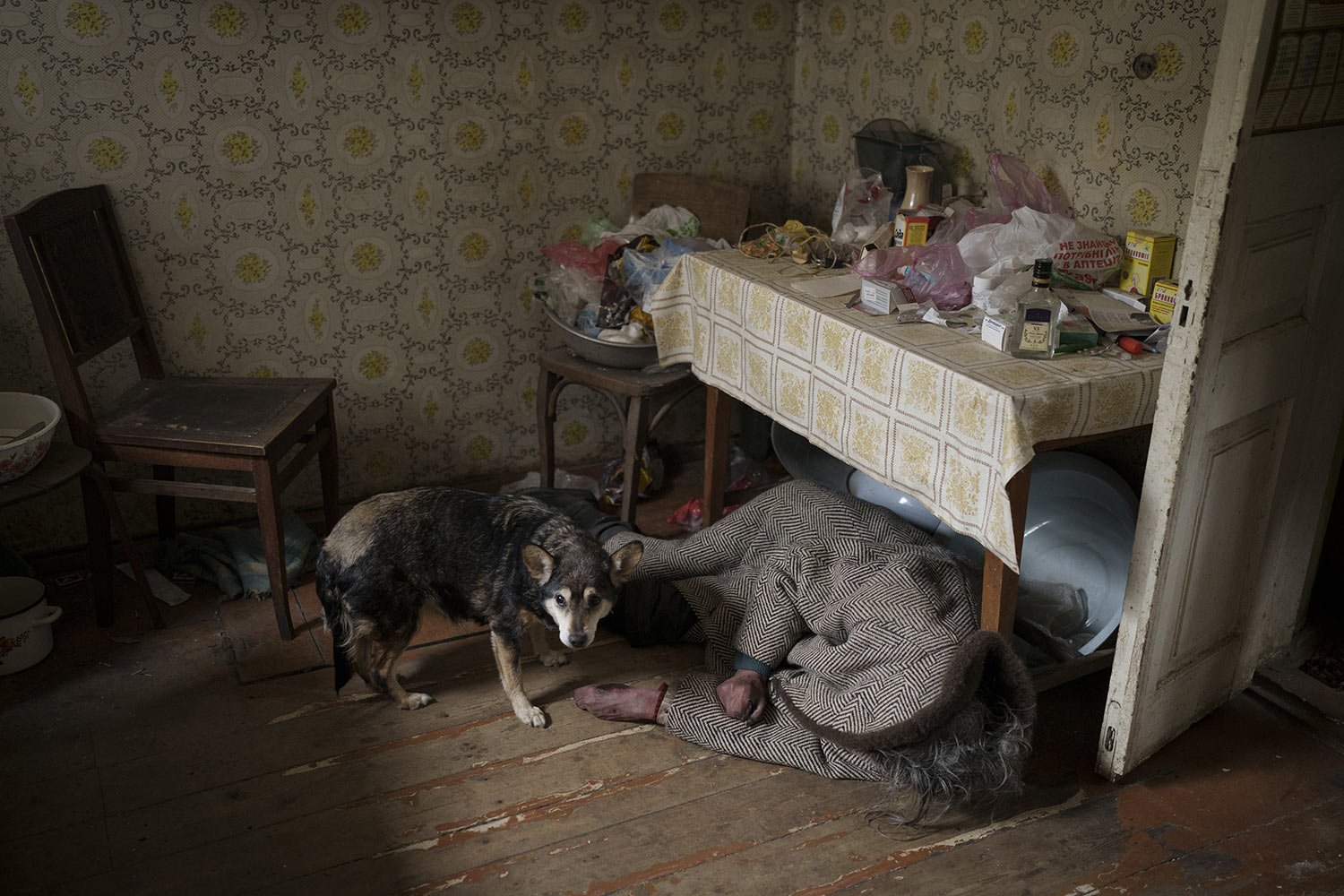  A dog stands next to the body of an elderly woman killed inside a home in Bucha on the outskirts of Kyiv, Ukraine, Tuesday, April 5, 2022. (AP Photo/Felipe Dana) 