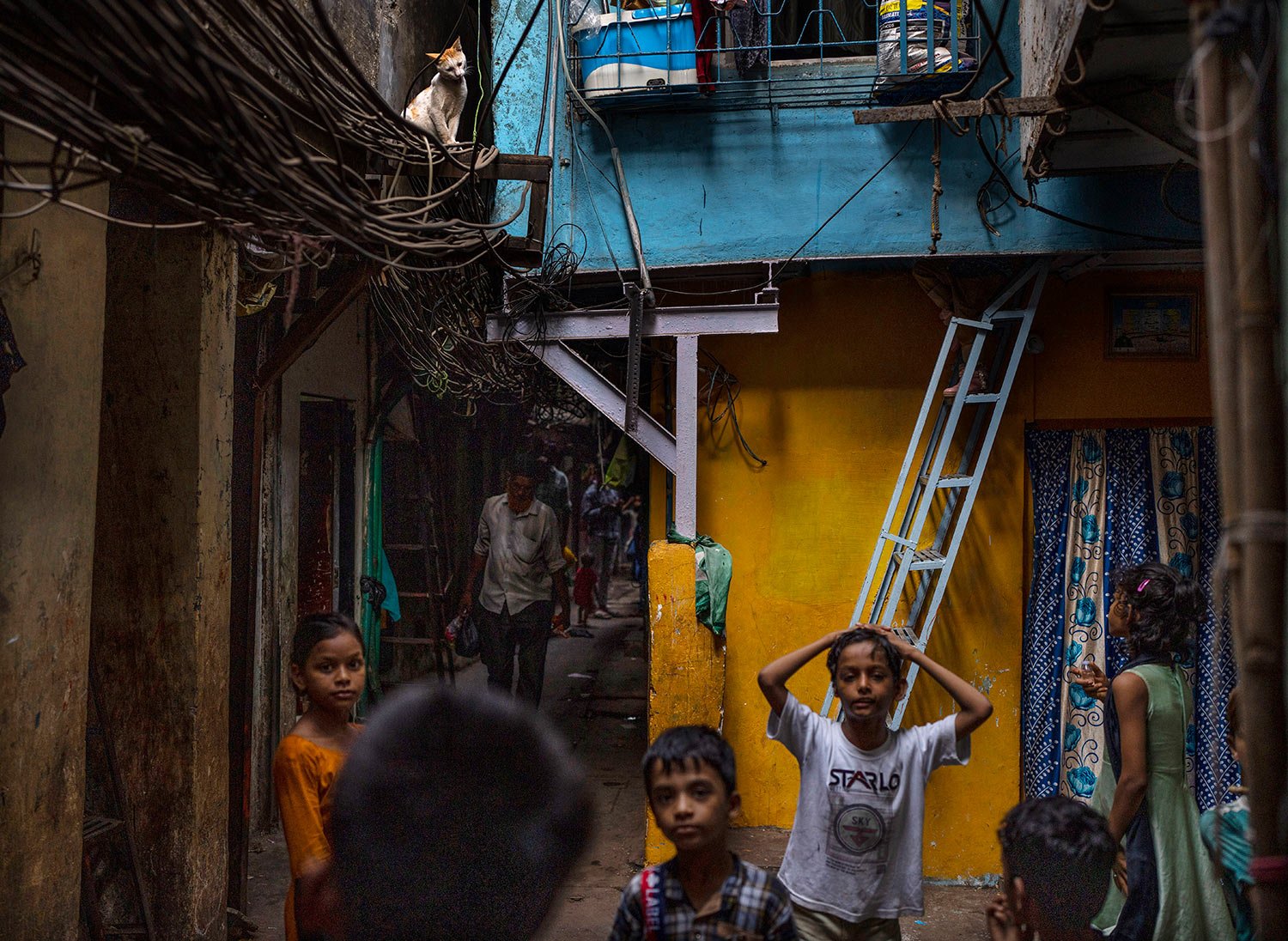  A cat sits on overhanging cables as children play in a narrow lane at a slum in Dharavi, Mumbai, India, Thursday, May 19, 2022. (AP Photo/Rafiq Maqbool) 