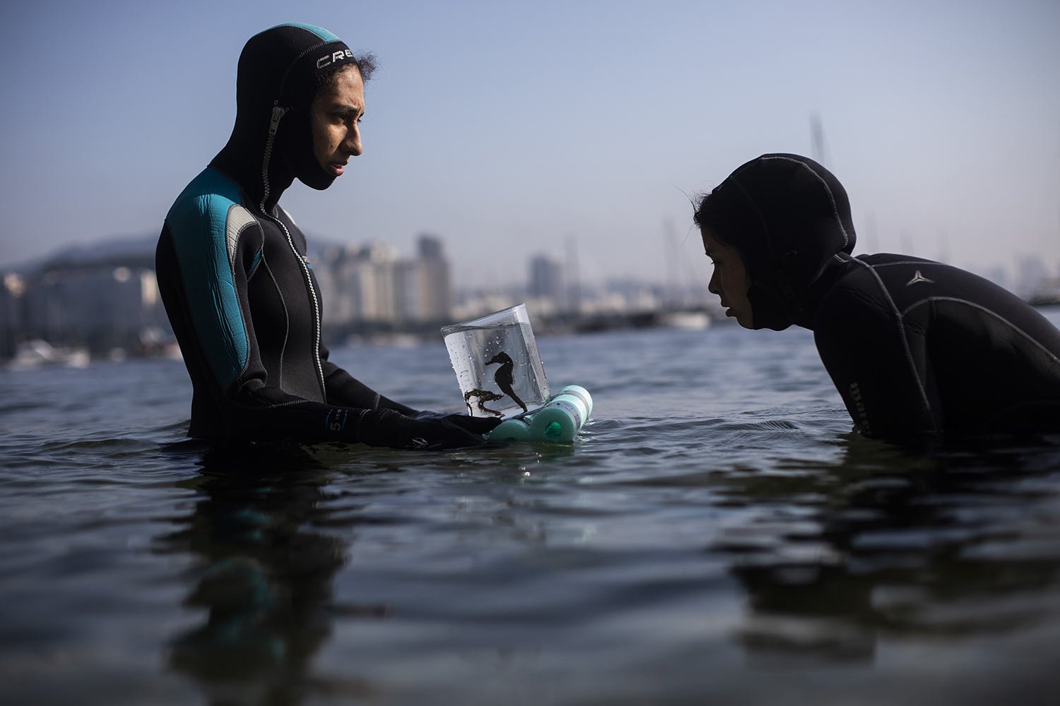  Biologists Gabriela Santos, left and Tatiana, collect seahorses in the waters of Urca beach as part of a project run by the Santa Ursula University, in Rio de Janeiro, Brazil, Monday, June 20, 2022. (AP Photo/Bruna Prado) 