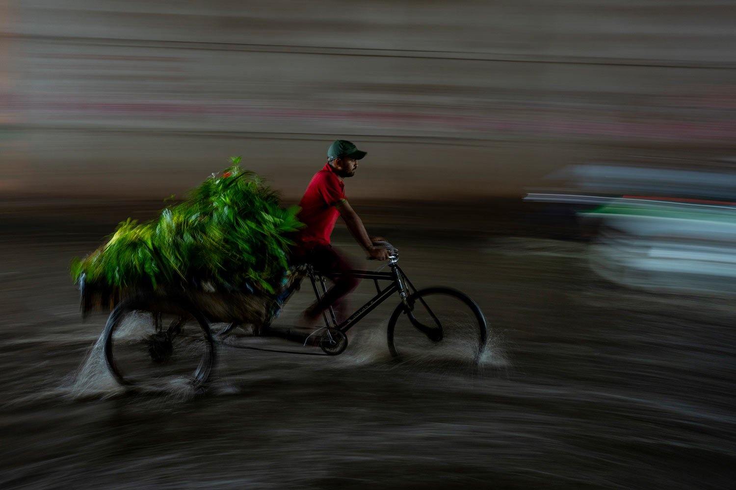  A man rides his cycle rickshaw, ferrying plants, through a waterlogged street as it rains in New Delhi, India, Thursday, Sept. 22, 2022. (AP Photo/Altaf Qadri) 