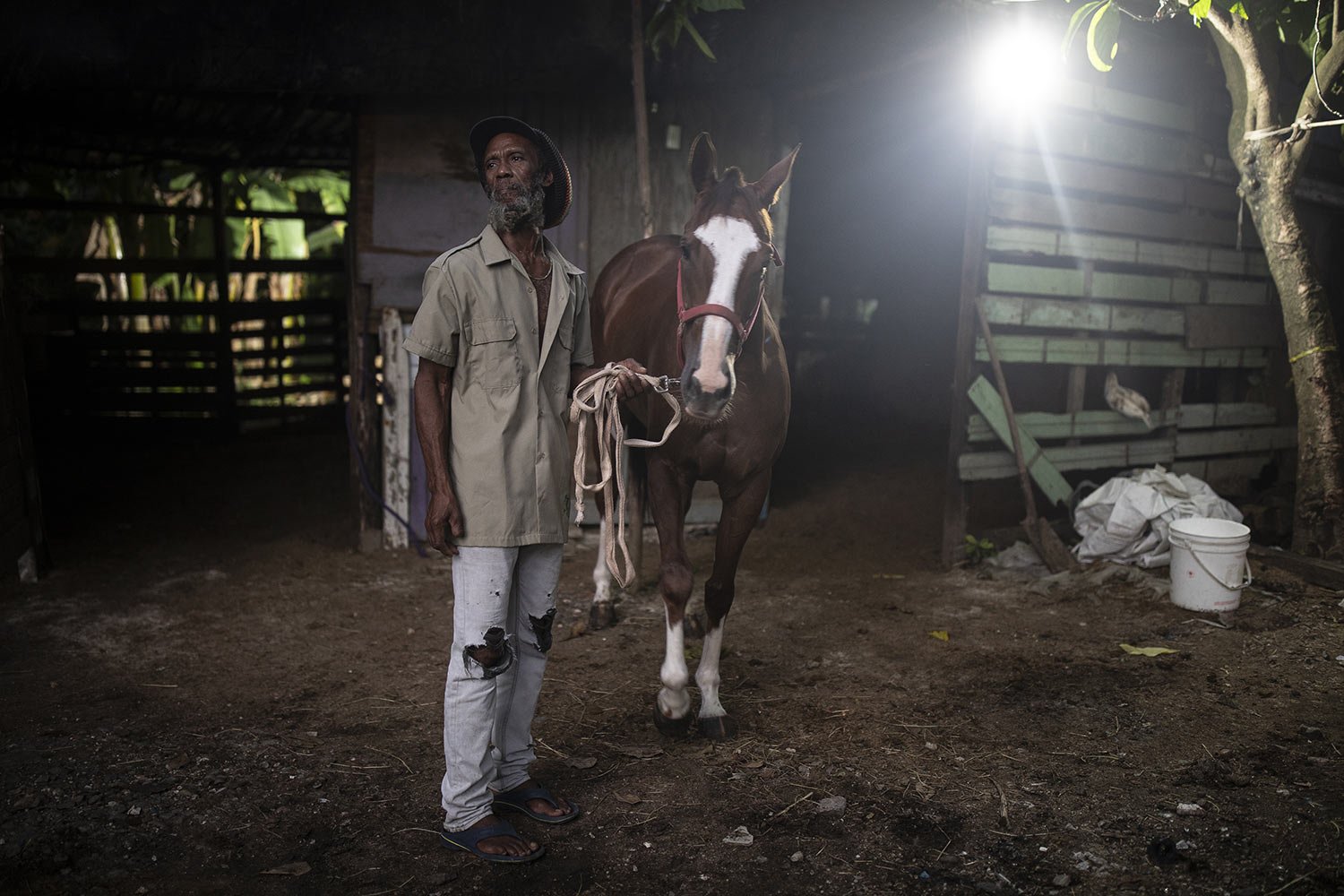  Horse caretaker Anselmo Sams poses for a portrait with a racehorse Cleopatra on San Andres Island in Colombia, Tuesday, Nov. 8, 2022. (AP Photo/Ivan Valencia) 