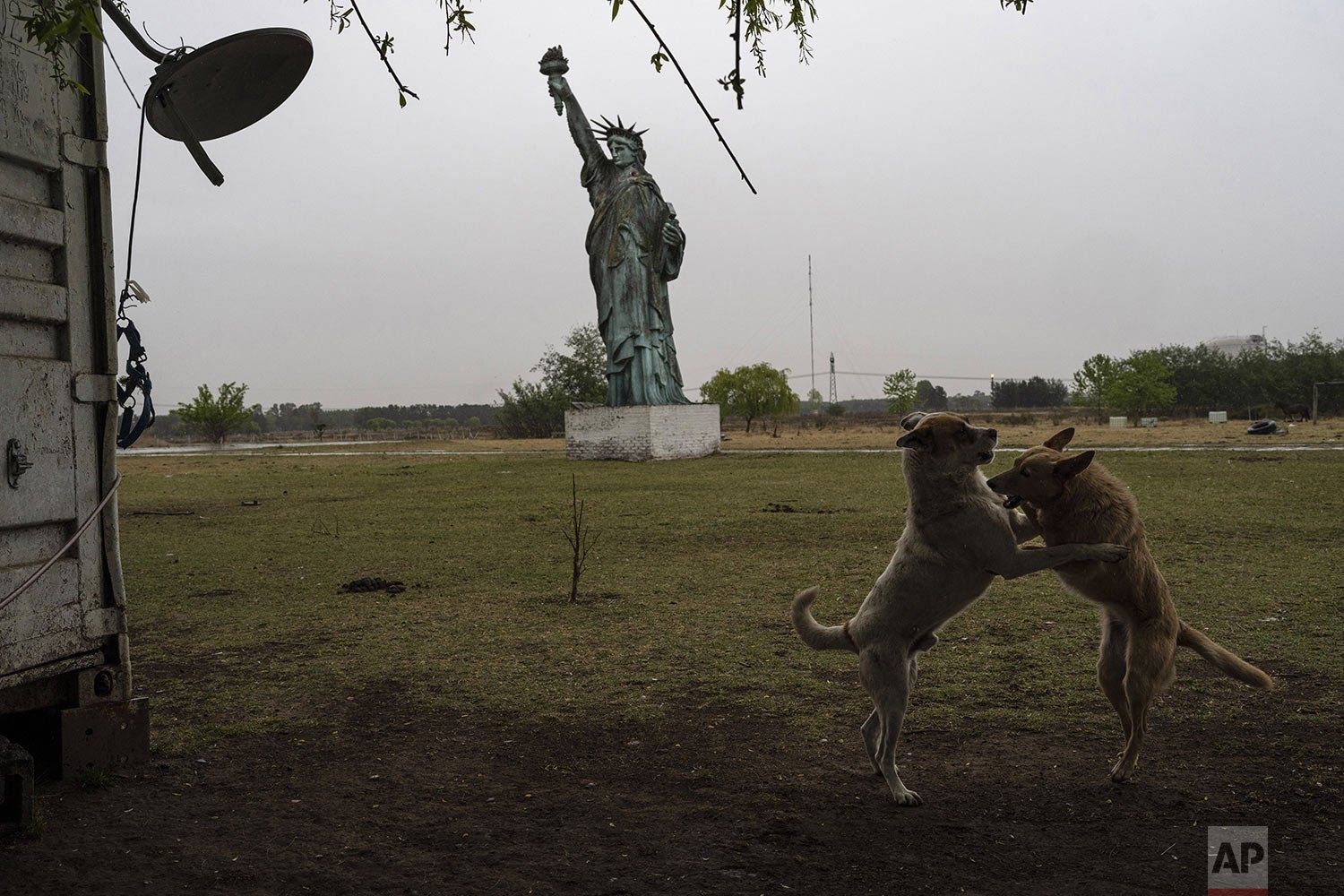  Dogs frolic near a 49-foot replica of a Statue of Liberty, in General Rodriguez, Argentina, Saturday, Oct. 15, 2022. (AP Photo/Rodrigo Abd) 
