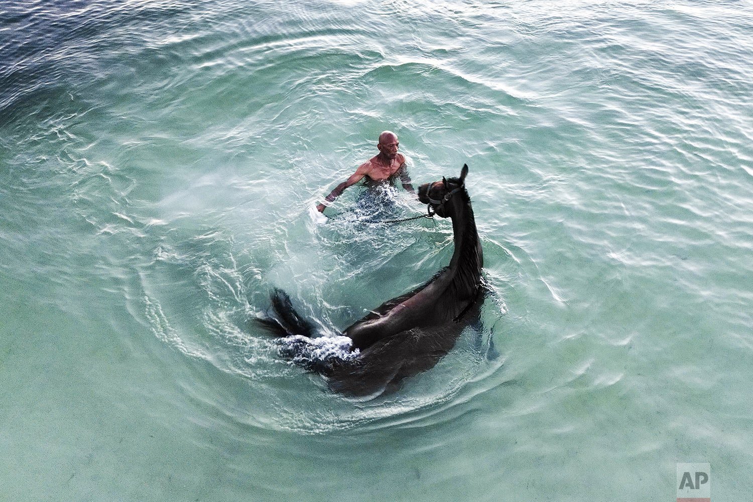  Denis Hooker trains his race horse named Pereque in the sea near the shore of San Andres Island in Colombia, Friday, Nov. 11, 2022. (AP Photo/Ivan Valencia) 