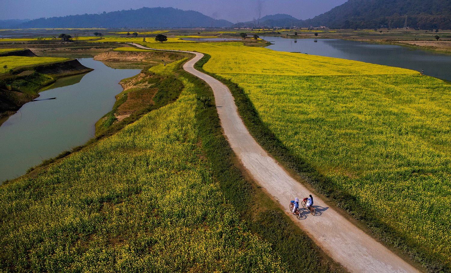  College students ride on their bicycles through the mustard fields on the outskirts of Guwahati, India, Thursday, Dec. 22, 2022. (AP Photo/Anupam Nath) 