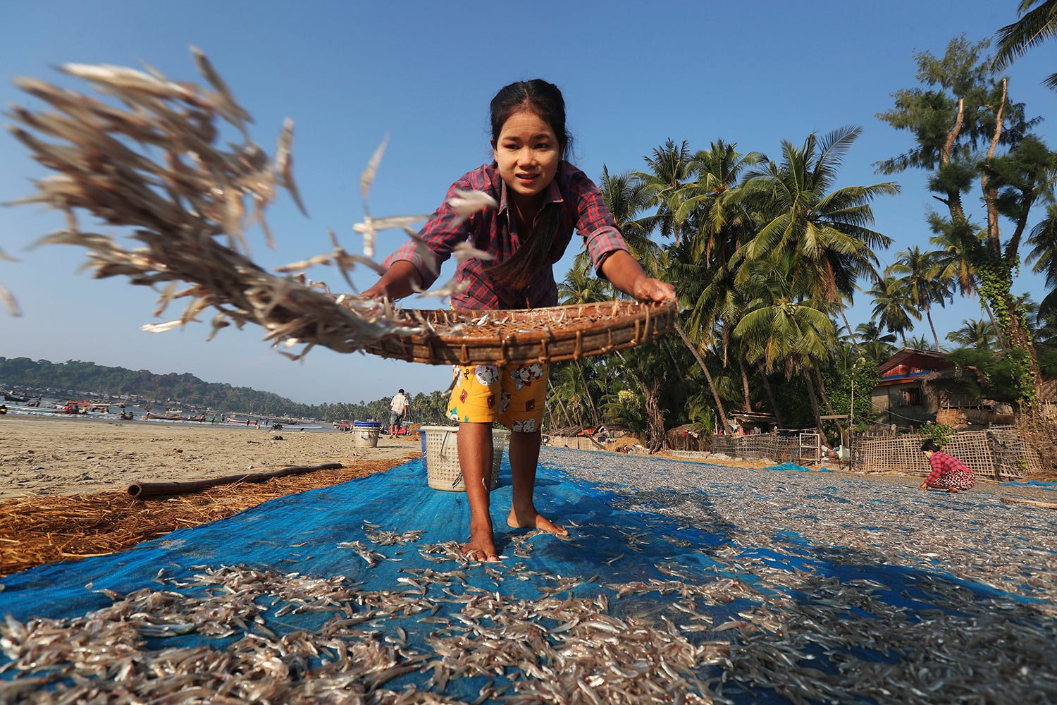  A woman spreads out fish to dry on the Ngapali Beach near a fishing village in Myanmar's western Rakhine State, Saturday, Dec. 31, 2022. (AP Photo/Aung Shine Oo) 