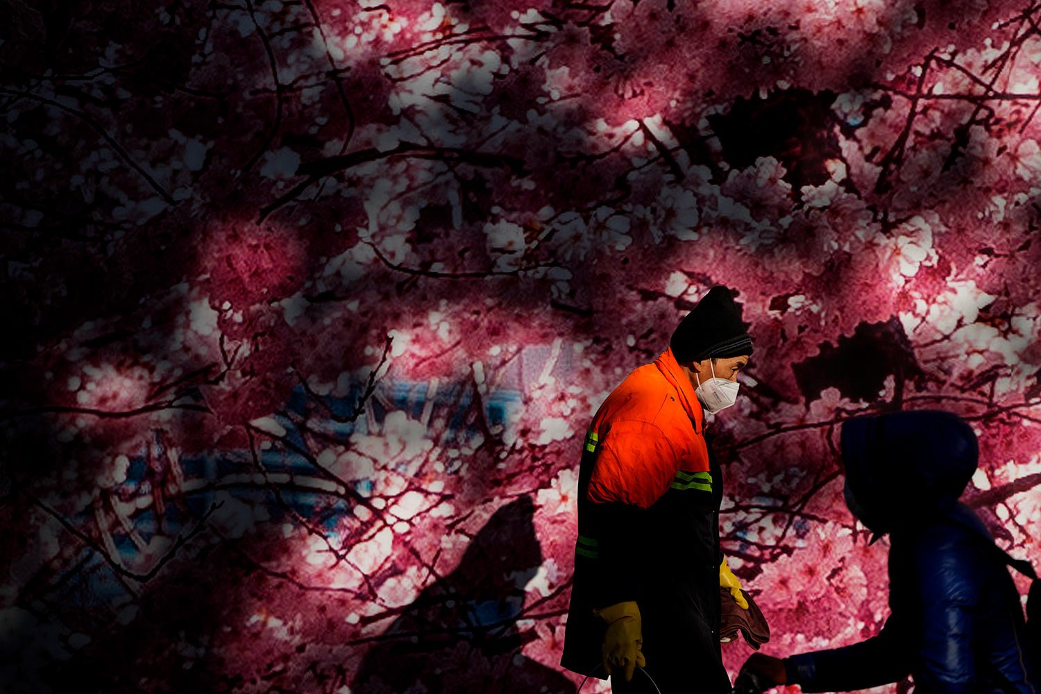  A masked worker walks through a tree's shadow cast on a mural depicting cherry blossom in Beijing, Thursday, Dec. 8, 2022. (AP Photo/Andy Wong) 