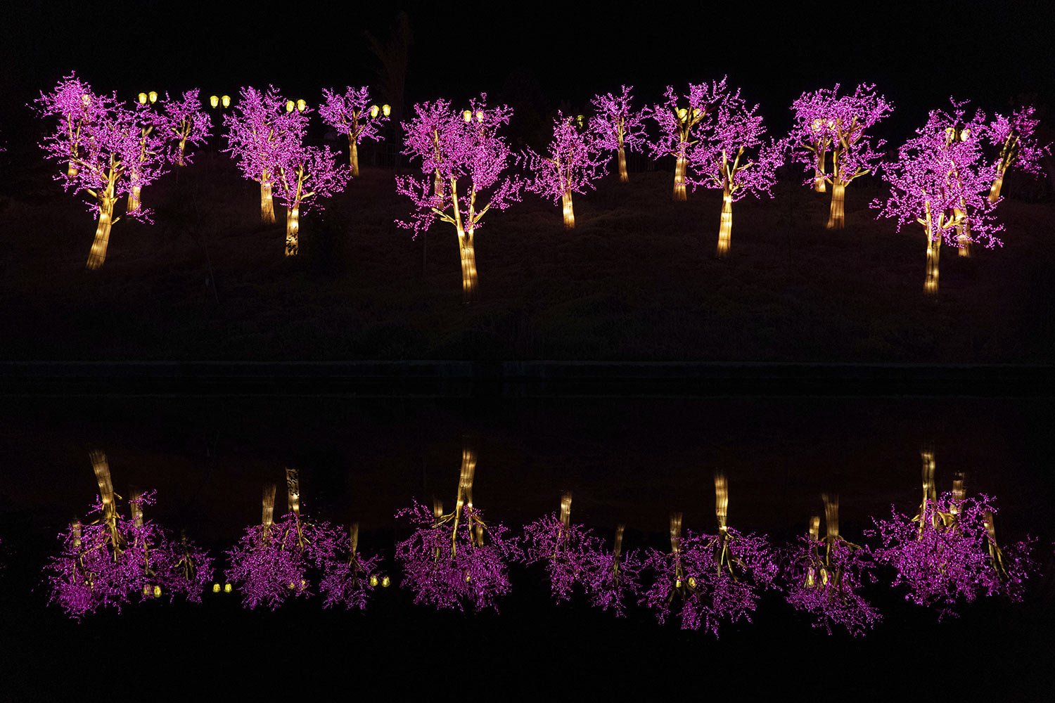 A light installation is reflected in water during the Chinese Lantern Festival in Santiago, Chile, Jan. 4, 2023. (AP Photo/Matias Basualdo) 